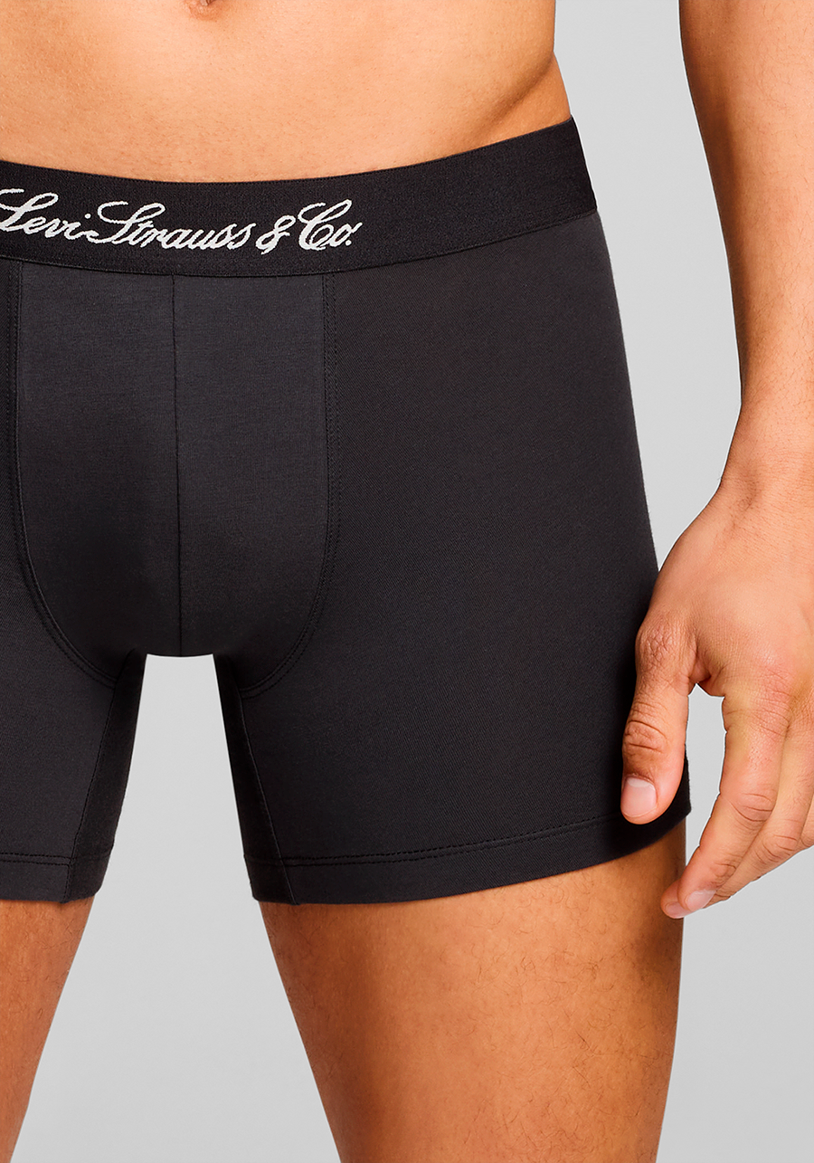 Levi's® Boxershorts »LEVIS MEN WESTERN AOP BOXER BRIEF 2P«, (2er Pack)