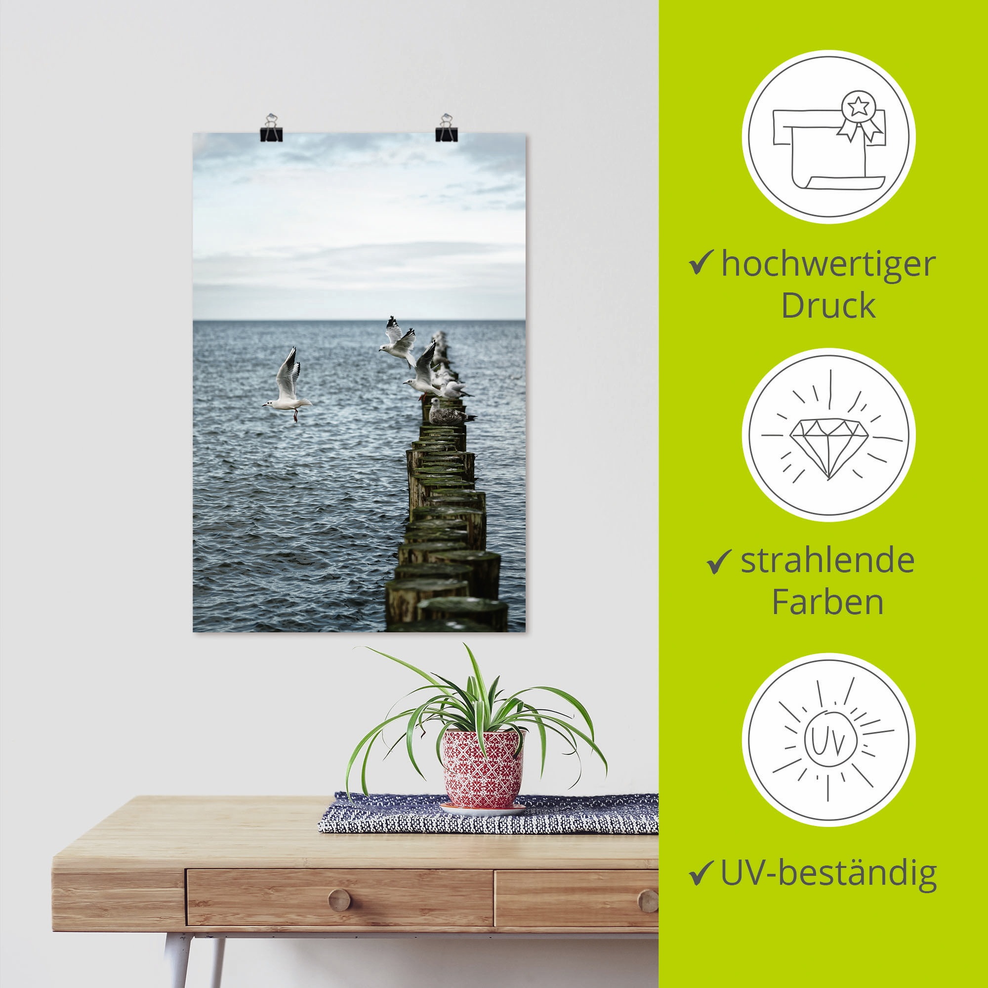 Artland Wandbild »Möwen starten von einer Buhnenreihe«, Vogelbilder, (1 St.), als Alubild, Outdoorbild, Poster in verschied. Größen