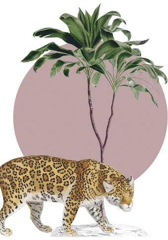 Komar Wandbild »Botanical Garden Jaguar«, (1 St.), Deutsches Premium-Poster Fotopapier... kaufen