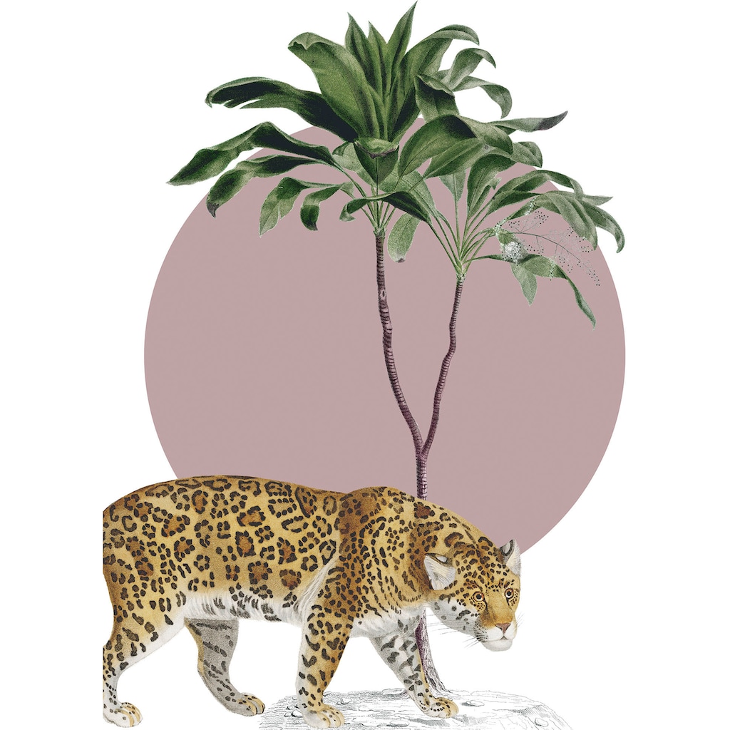 Komar Wandbild »Botanical Garden Jaguar«, (1 St.), Deutsches Premium-Poster Fotopapier mit seidenmatter Oberfläche und hoher Lichtbeständigkeit. Für fotorealistische Drucke mit gestochen scharfen Details und hervorragender Farbbrillanz.