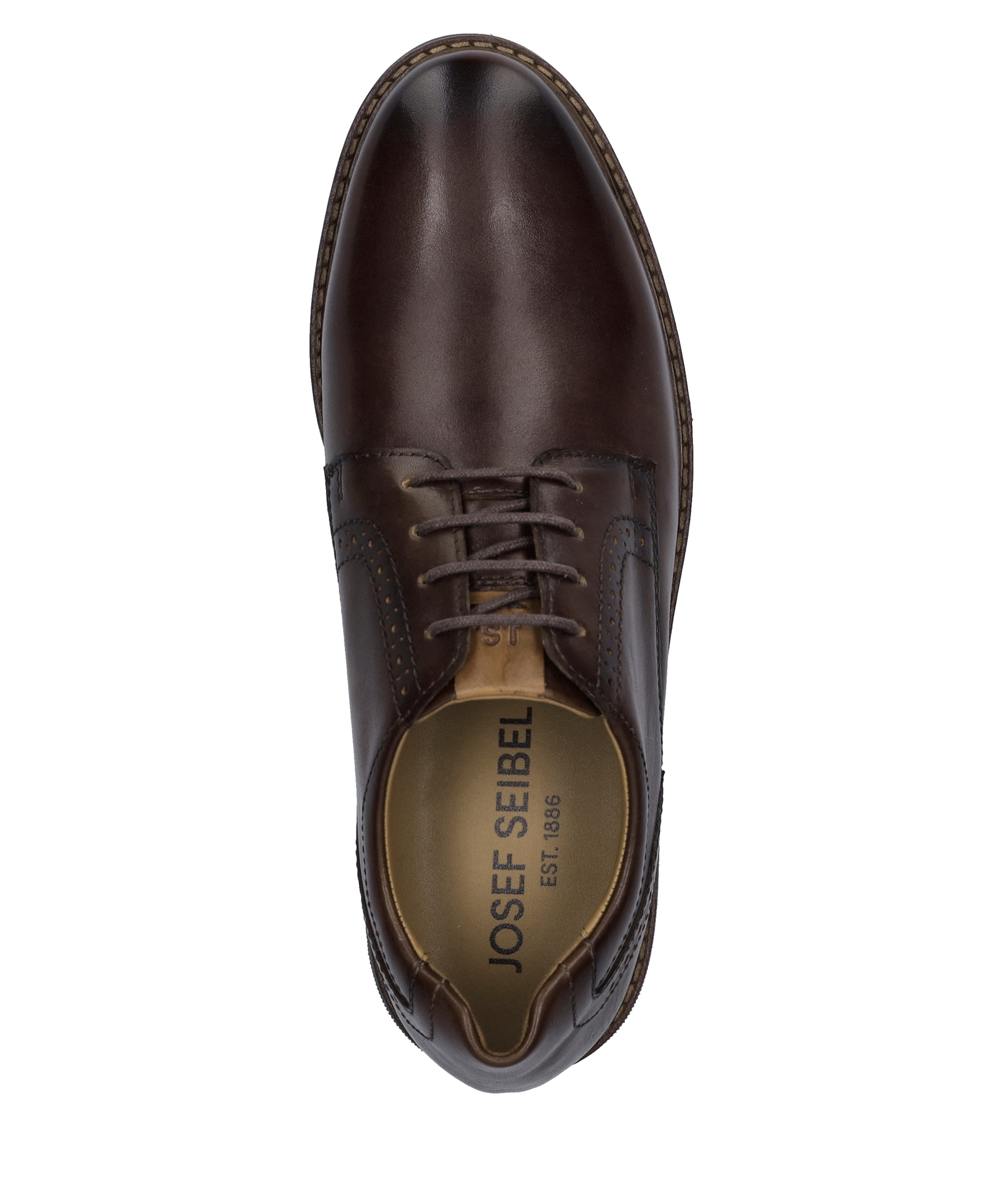 Josef Seibel Schnürschuh »Stuart 09, castagne-kombi«