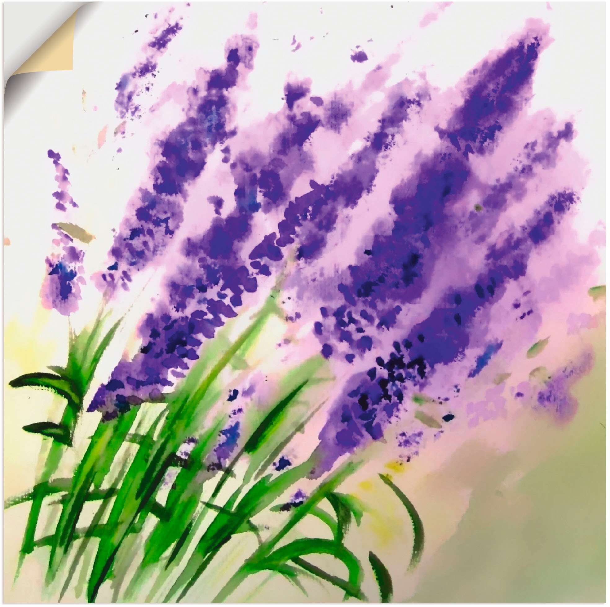Artland Wandbild »Lavendel-aquarell«, Blumen, (1 St.), in vielen Größen & Produktarten -Leinwandbild, Poster, Wandaufkleber / Wandtattoo auch für Badezimmer geeignet