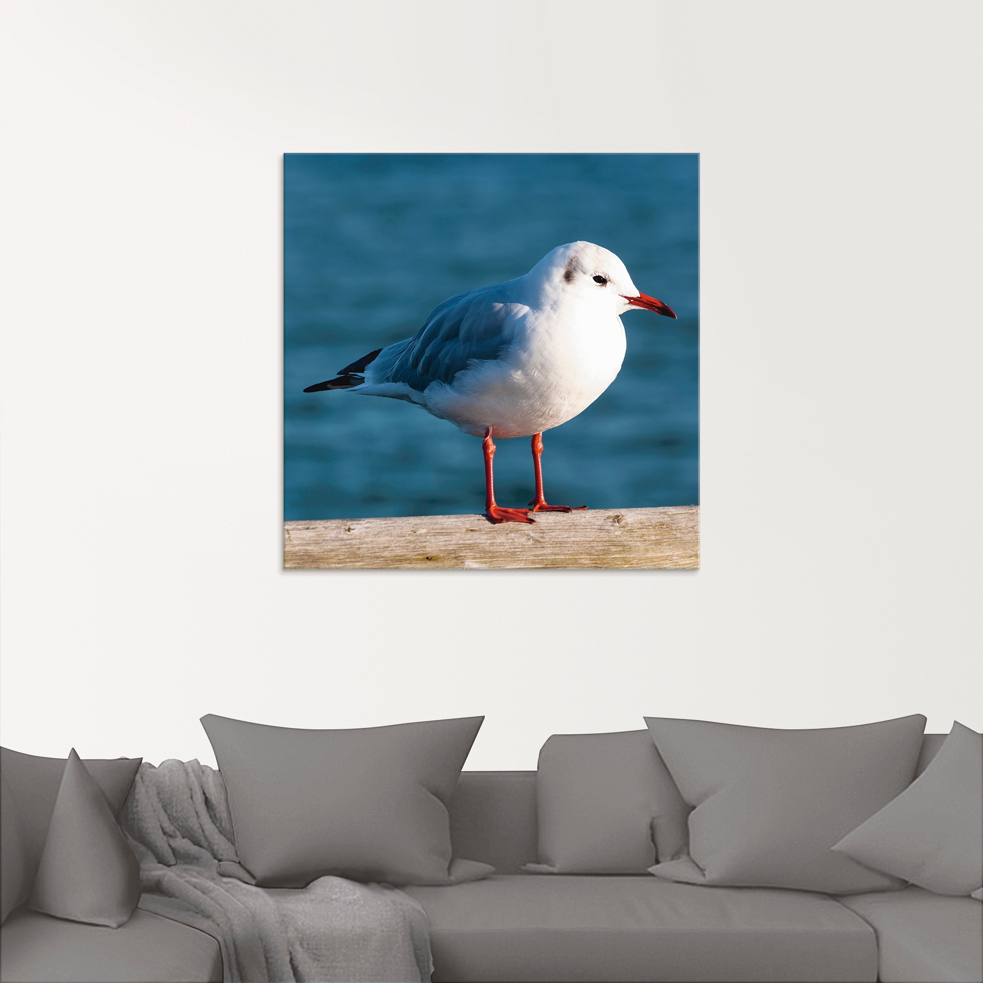 Artland Glasbild »Möwe«, Vögel, (1 St.), in verschiedenen Größen