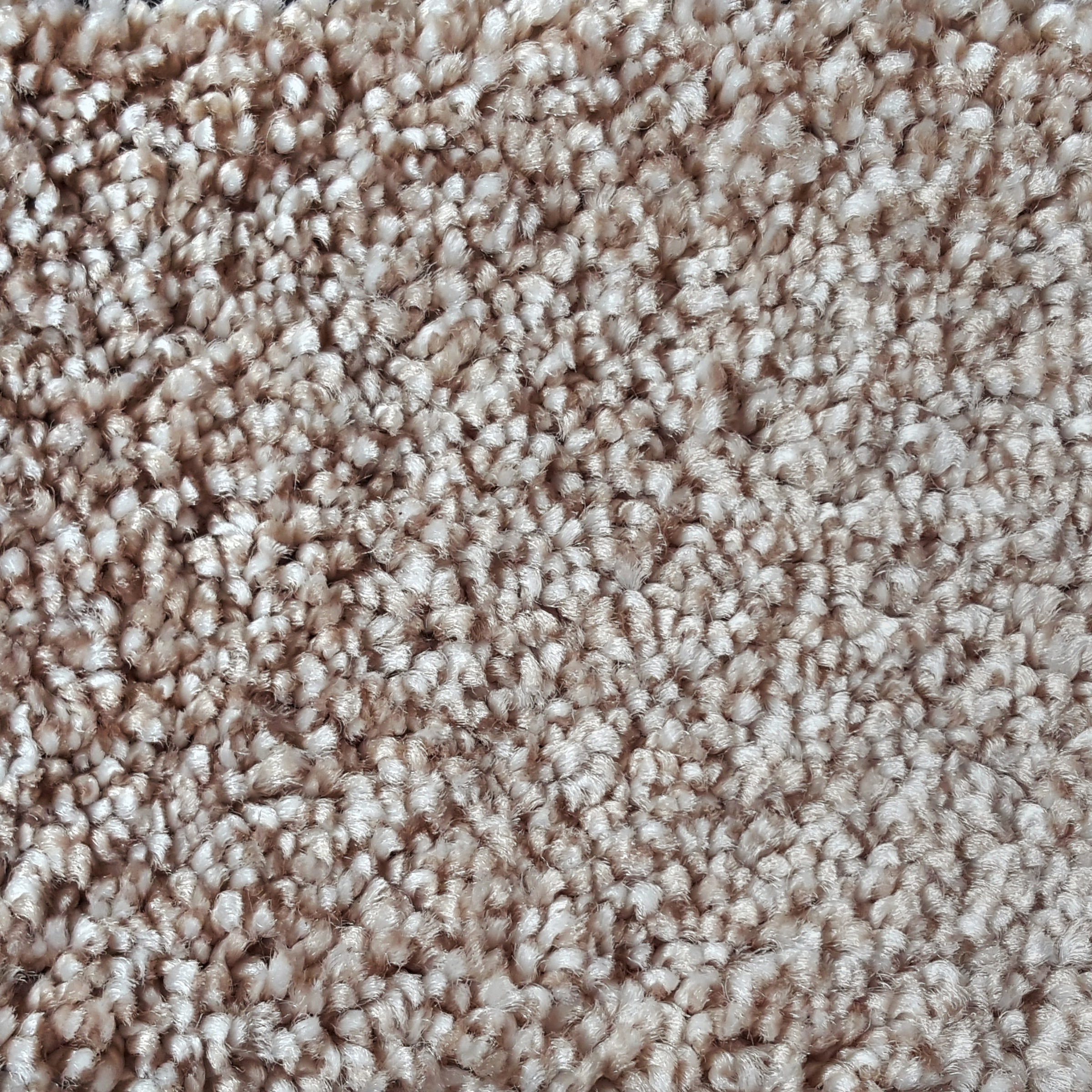 Andiamo Teppichboden »Narmadab beige«, rechteckig, 13 mm Höhe, Meterware, Breite 500 cm, antistatisch, schallschluckend
