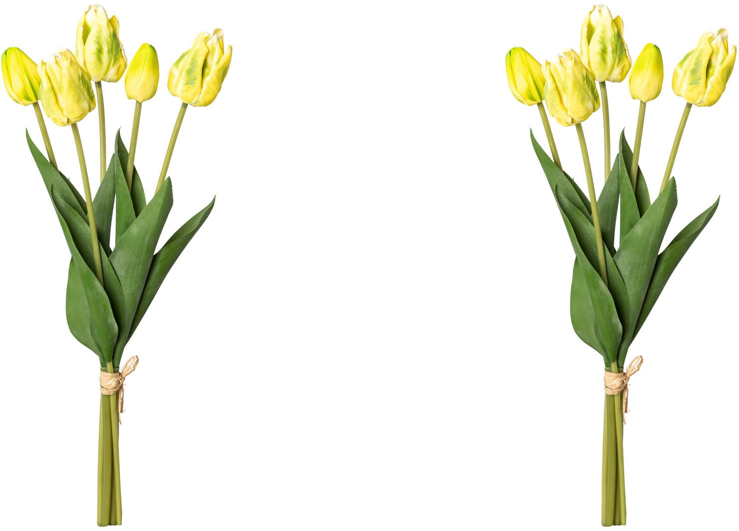 my home Kunsttulpe »Tulpenbund«