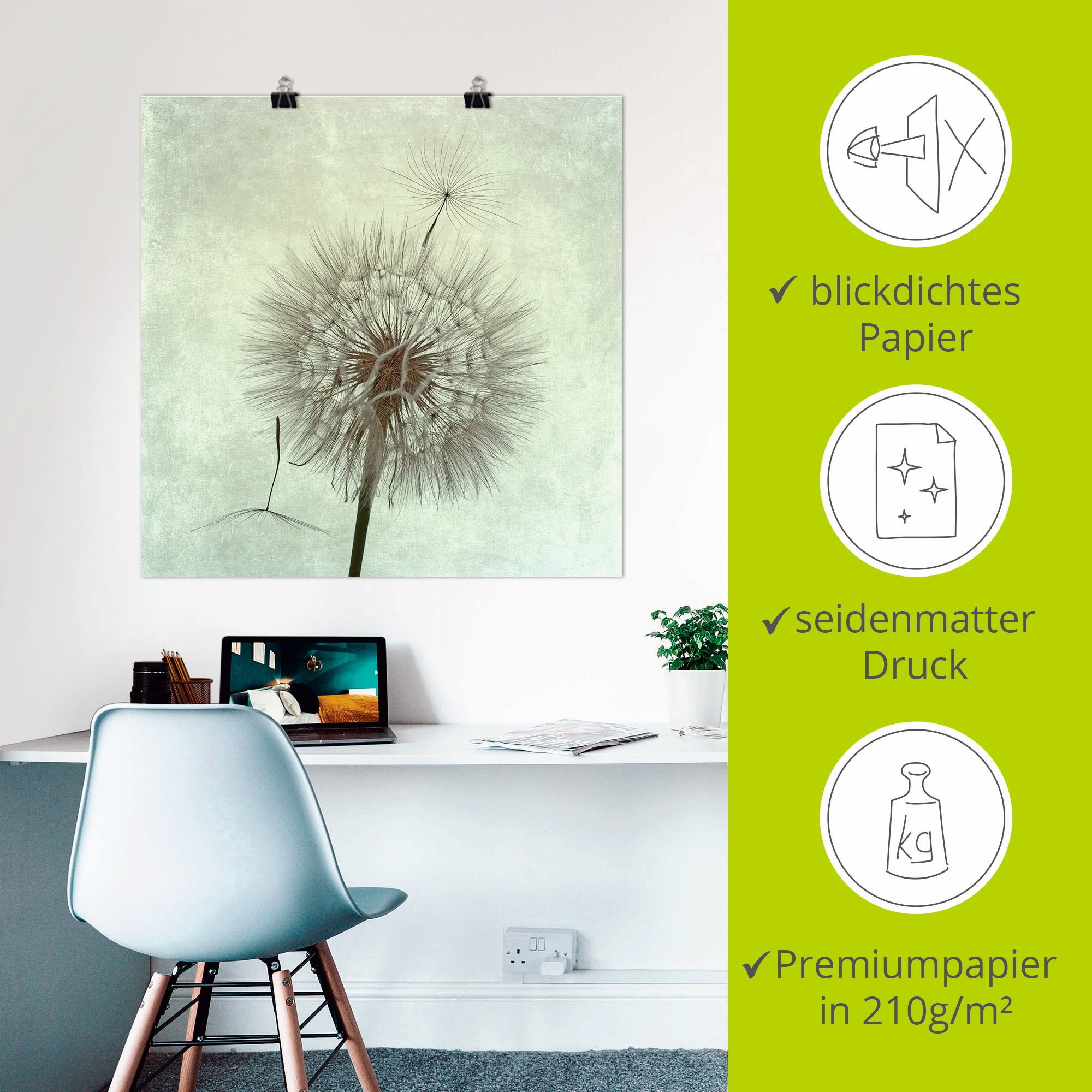 Artland Wandbild »Pusteblume II«, Blumen, (1 St.), als Leinwandbild, Poster, Wandaufkleber in verschied. Größen