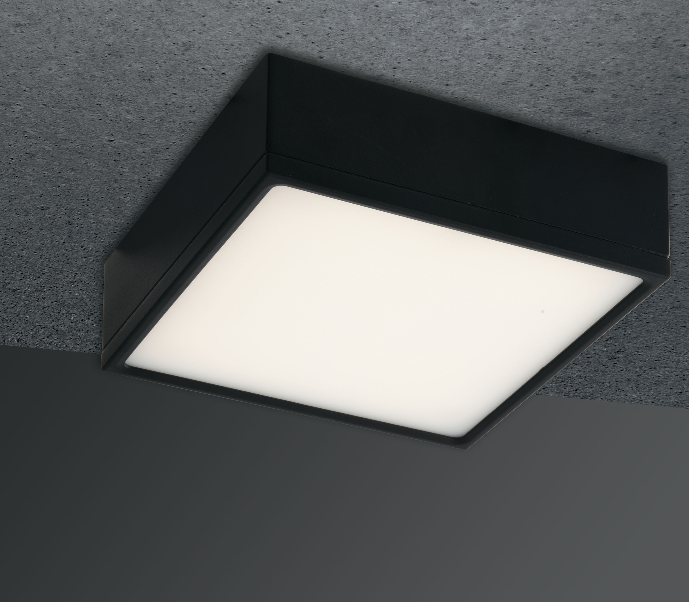 ECO-LIGHT Deckenleuchte »KLIO«, Leuchtmittel LED-Modul | LED fest integriert