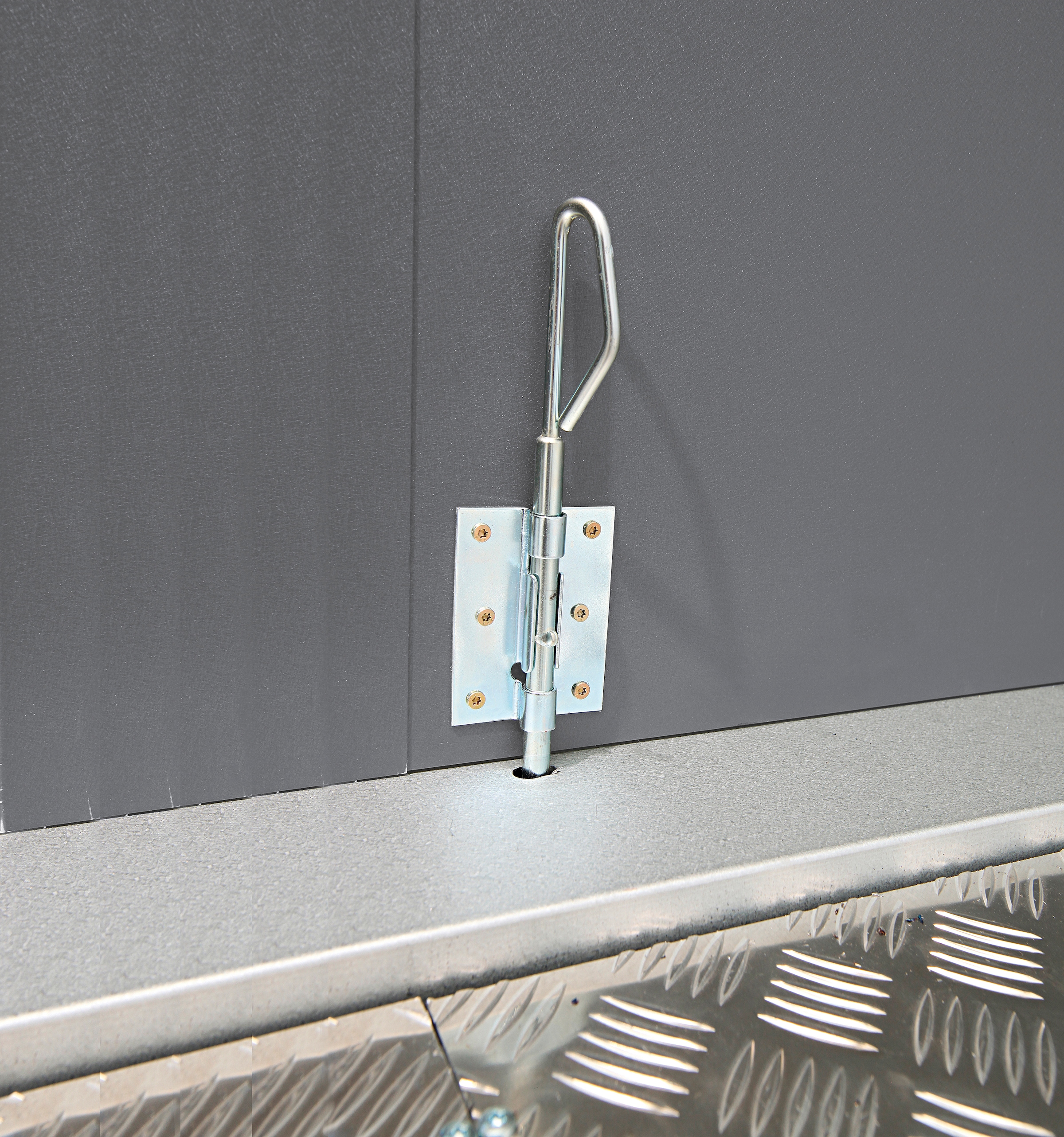 Wolff Gerätehaus »Eleganto 2121«, Metall