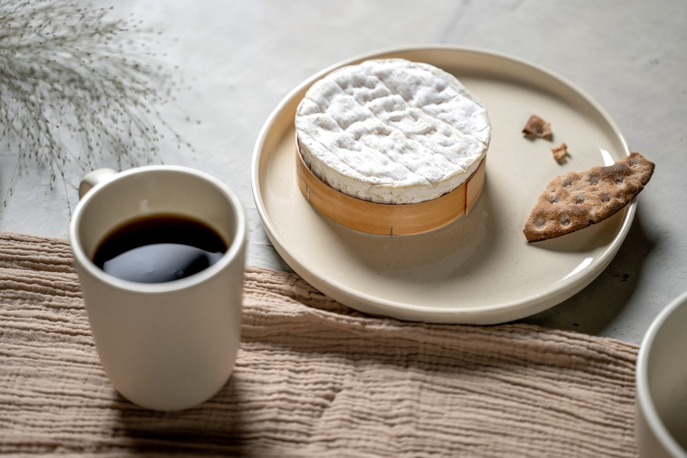 LEONARDO Teller-Set »Speiseteller ROMA, Keramikteller, ca. 22 cm, 6-teilig« Geschirr-Set, Service, spülmaschinengeeignet