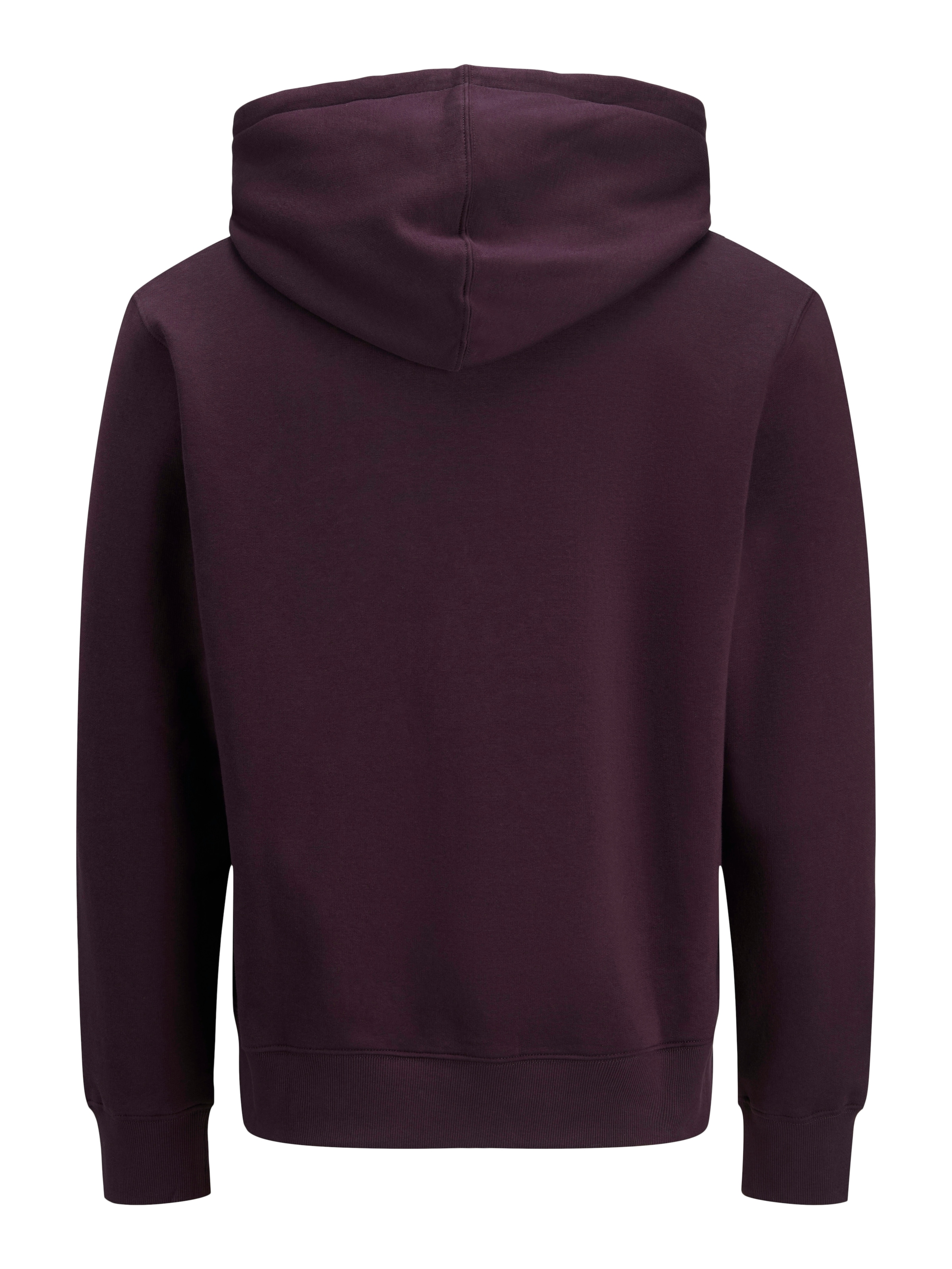 Jack & Jones PlusSize Kapuzensweatshirt »JJESTAR JJ SWEAT HOOD NOOS PLS«, mit Kängurutasche