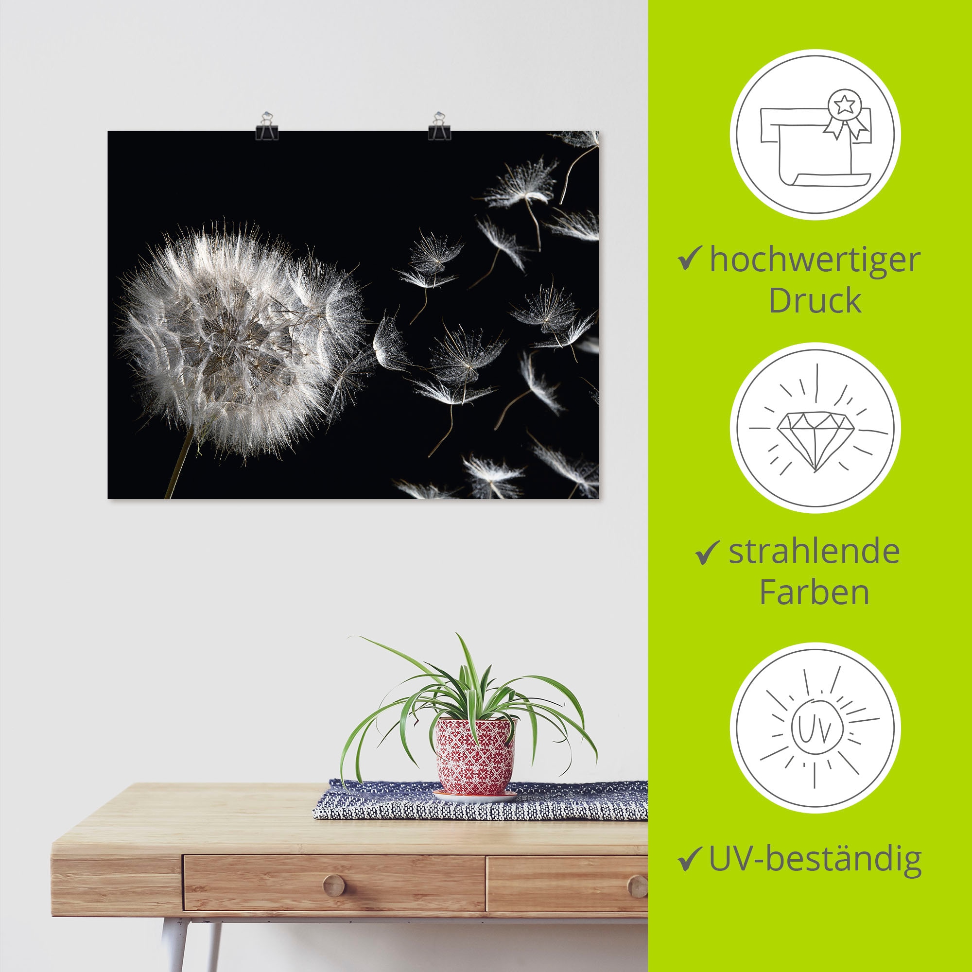 Artland Wandbild »Pusteblume« Blumenbilder 1 Stk. tlg. als Leinwandbild, Poster in verschied. Größen