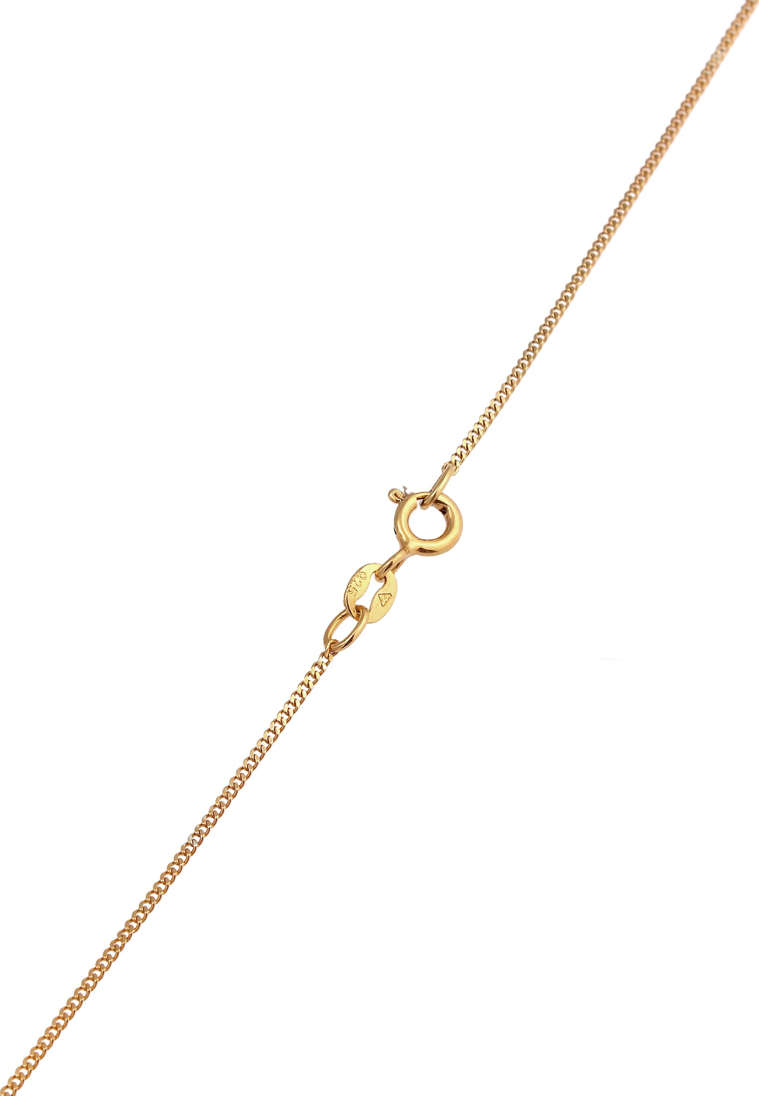 Elli Kette mit Anhänger »Halskette Kreis Rund Geo Trend Matt 925 Silber«