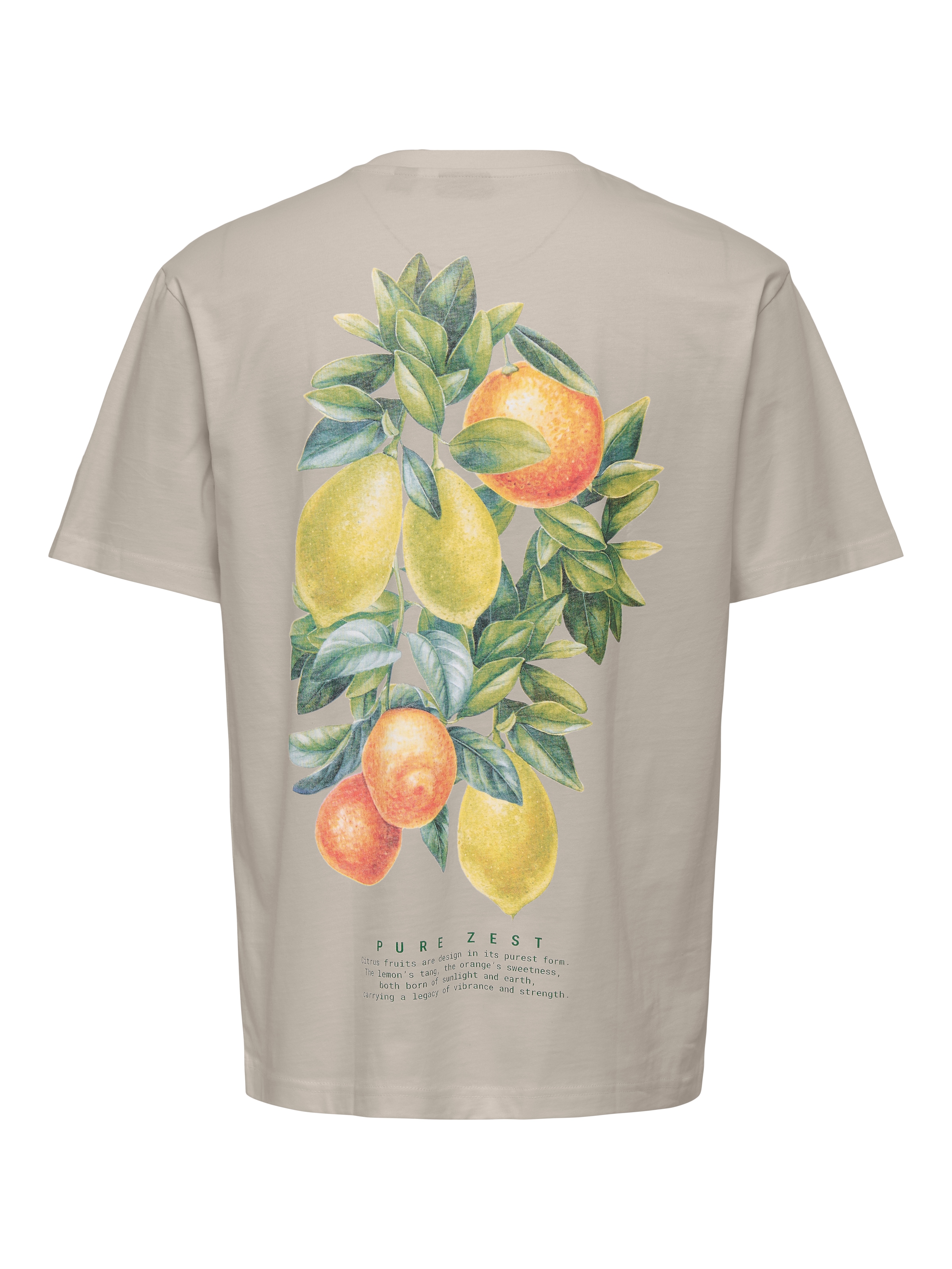 ONLY & SONS T-Shirt »ONSFRED LIFE RLX SS PRINT TEE NOOS« Baumwolle, relaxed fit
