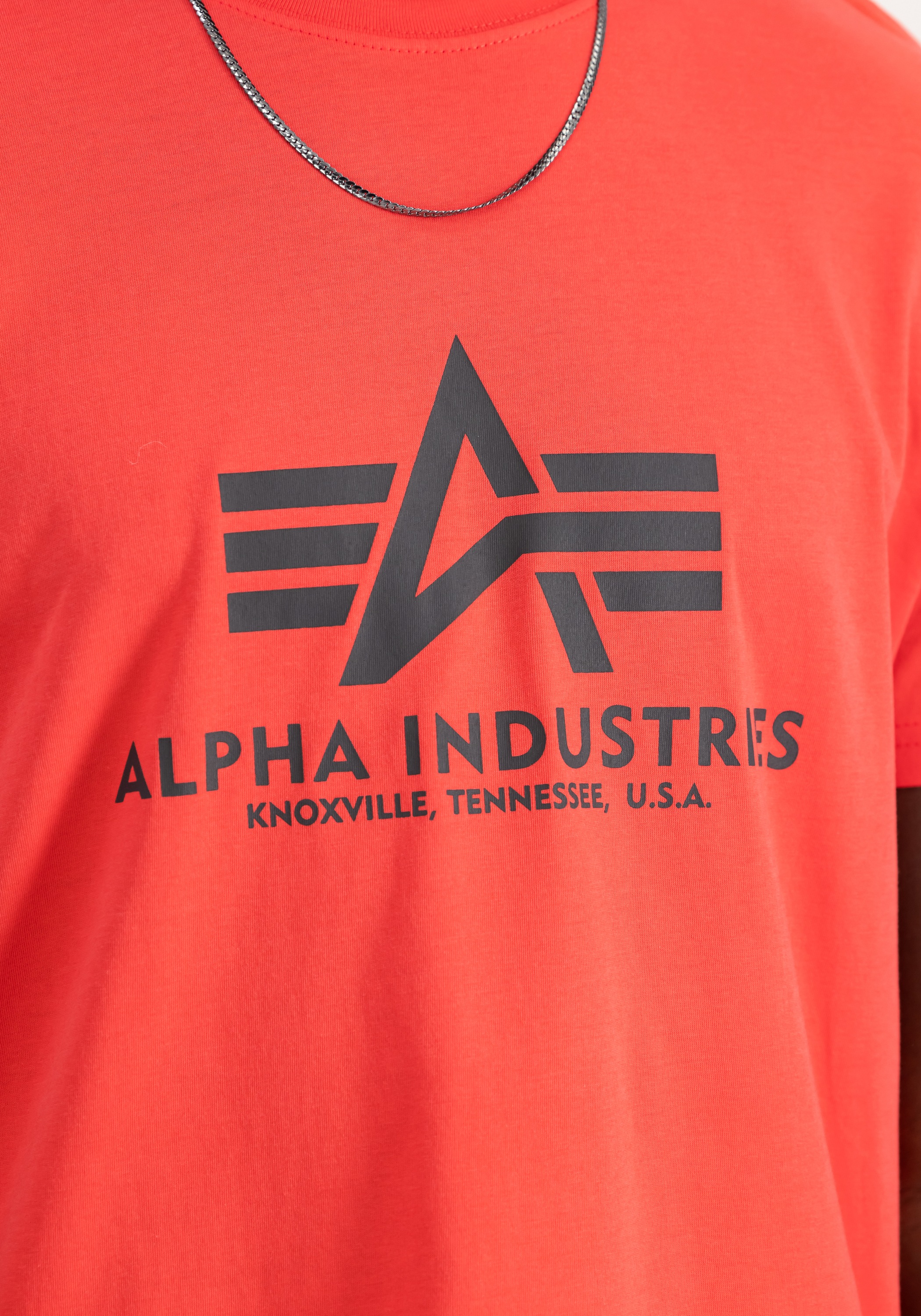 Alpha Industries T-Shirt »Basic T-Shirt BL«