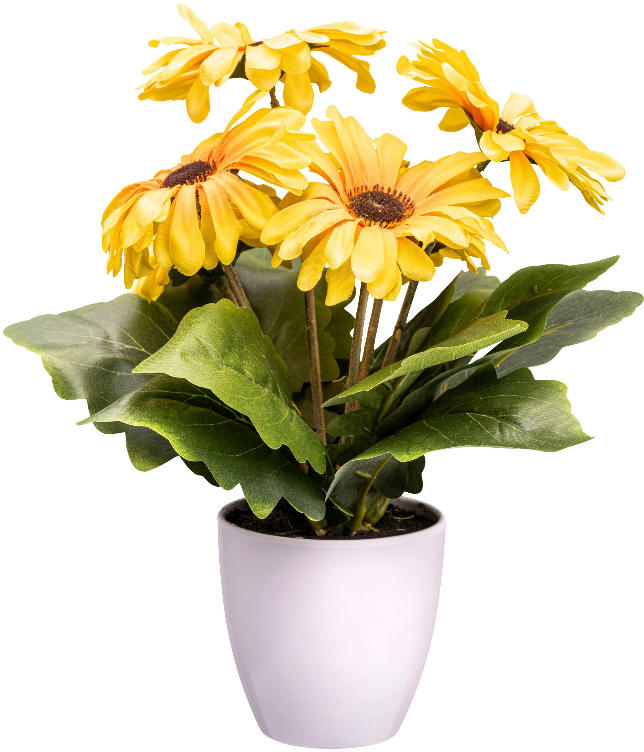 Creativ green Kunstblume »Gerberabusch«