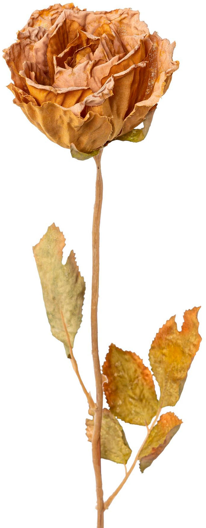 Creativ green Kunstblume »Rose«