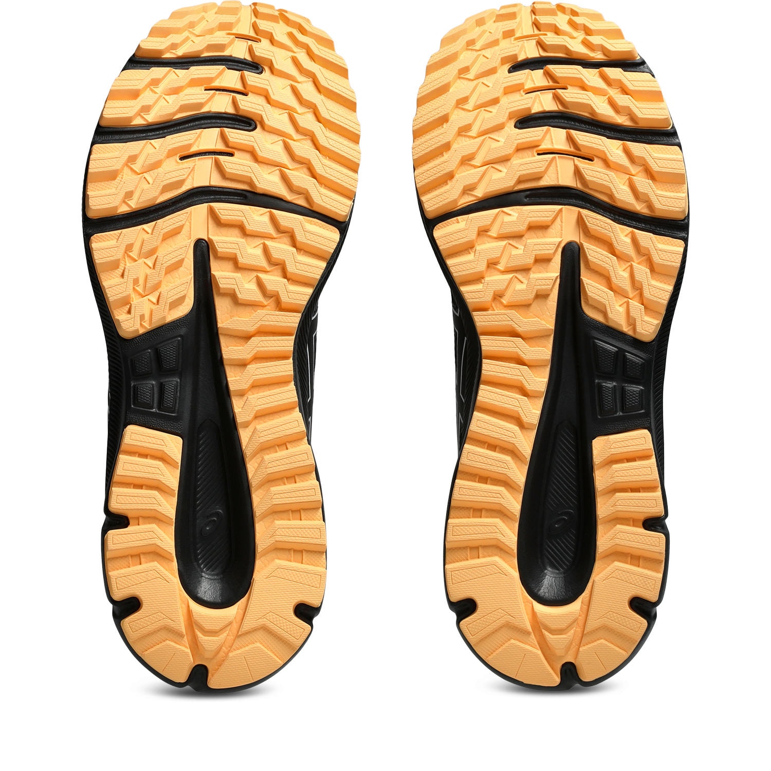 Asics Trailrunningschuh »TRAIL SCOUT 3«