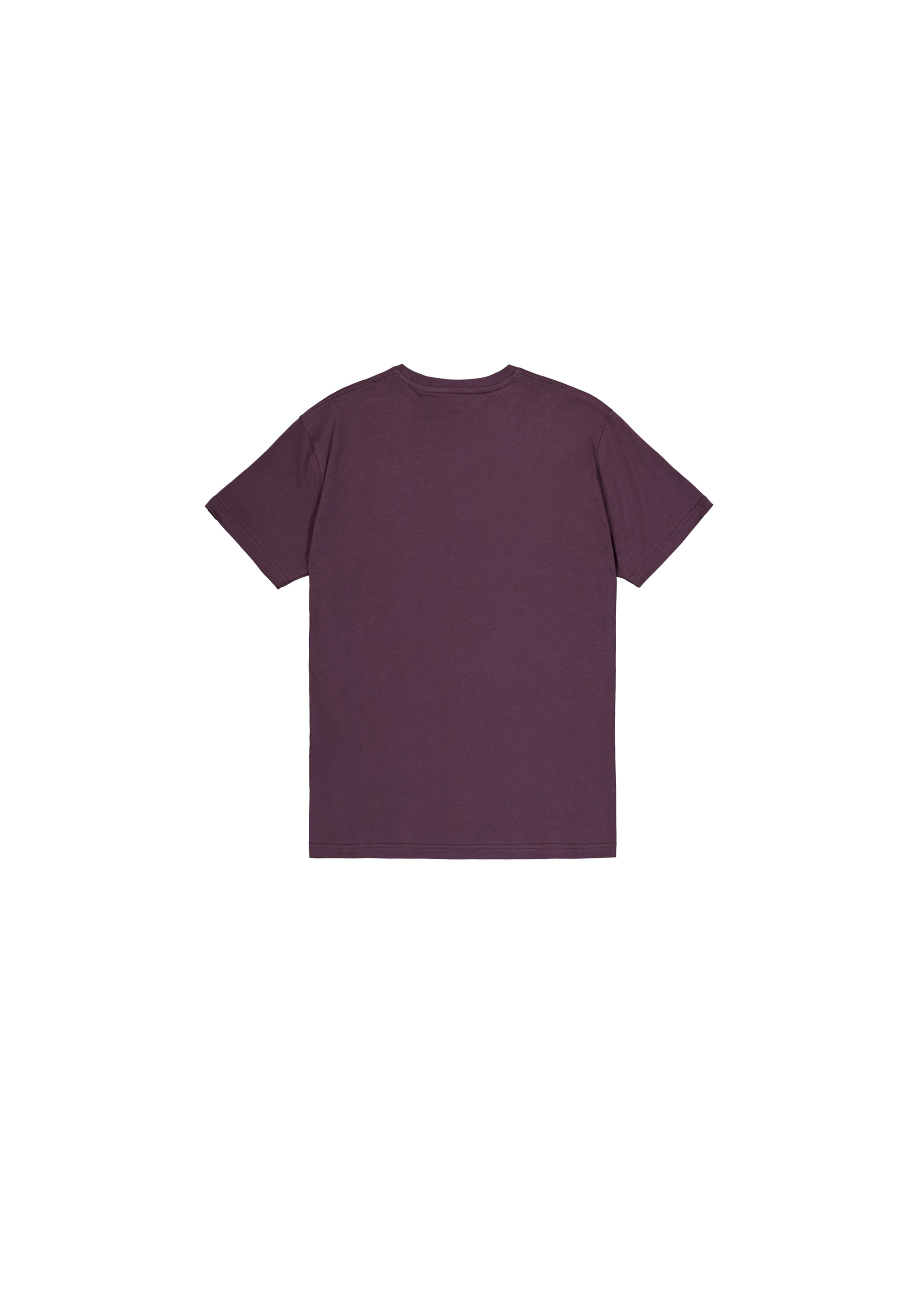 Alpha Industries T-Shirt »Basic T-Shirt BL«