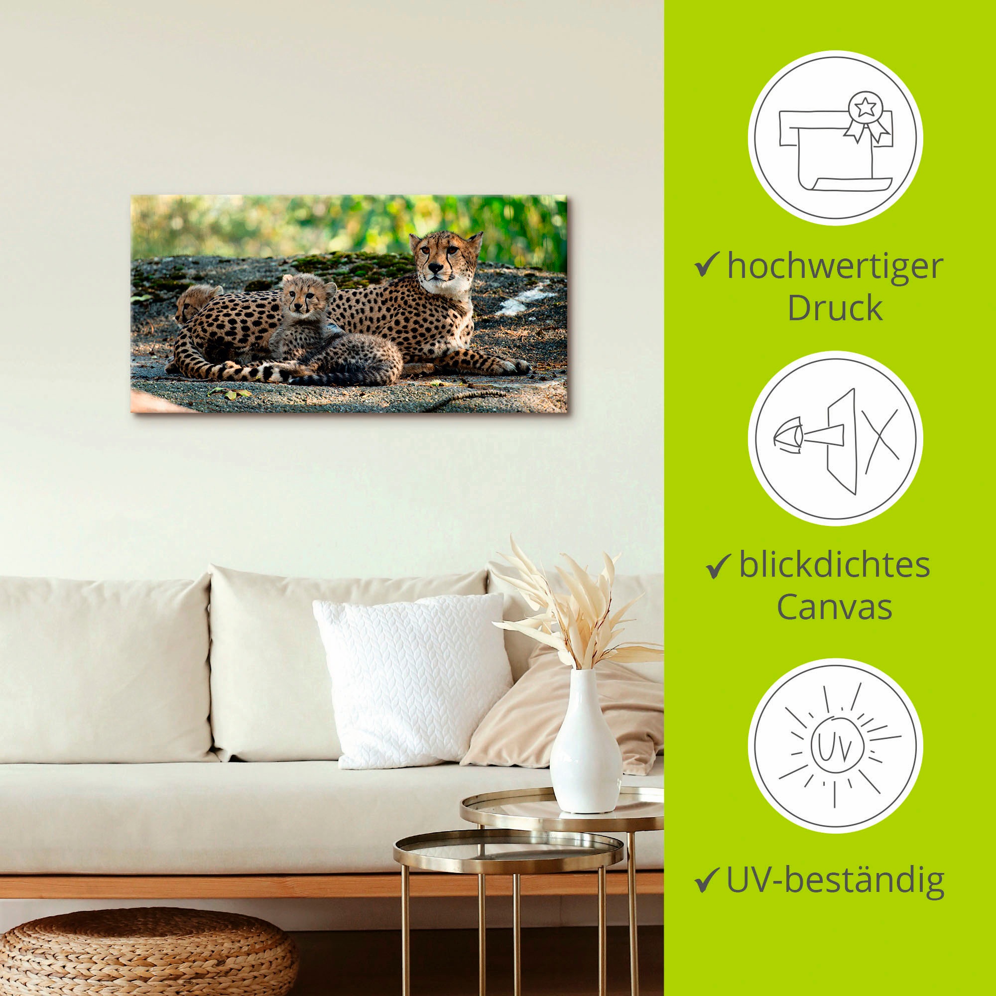 Artland Wandbild »Gepard 2«, Wildtiere, (1 St.), als Leinwandbild, Poster, Wandaufkleber in verschied. Größen