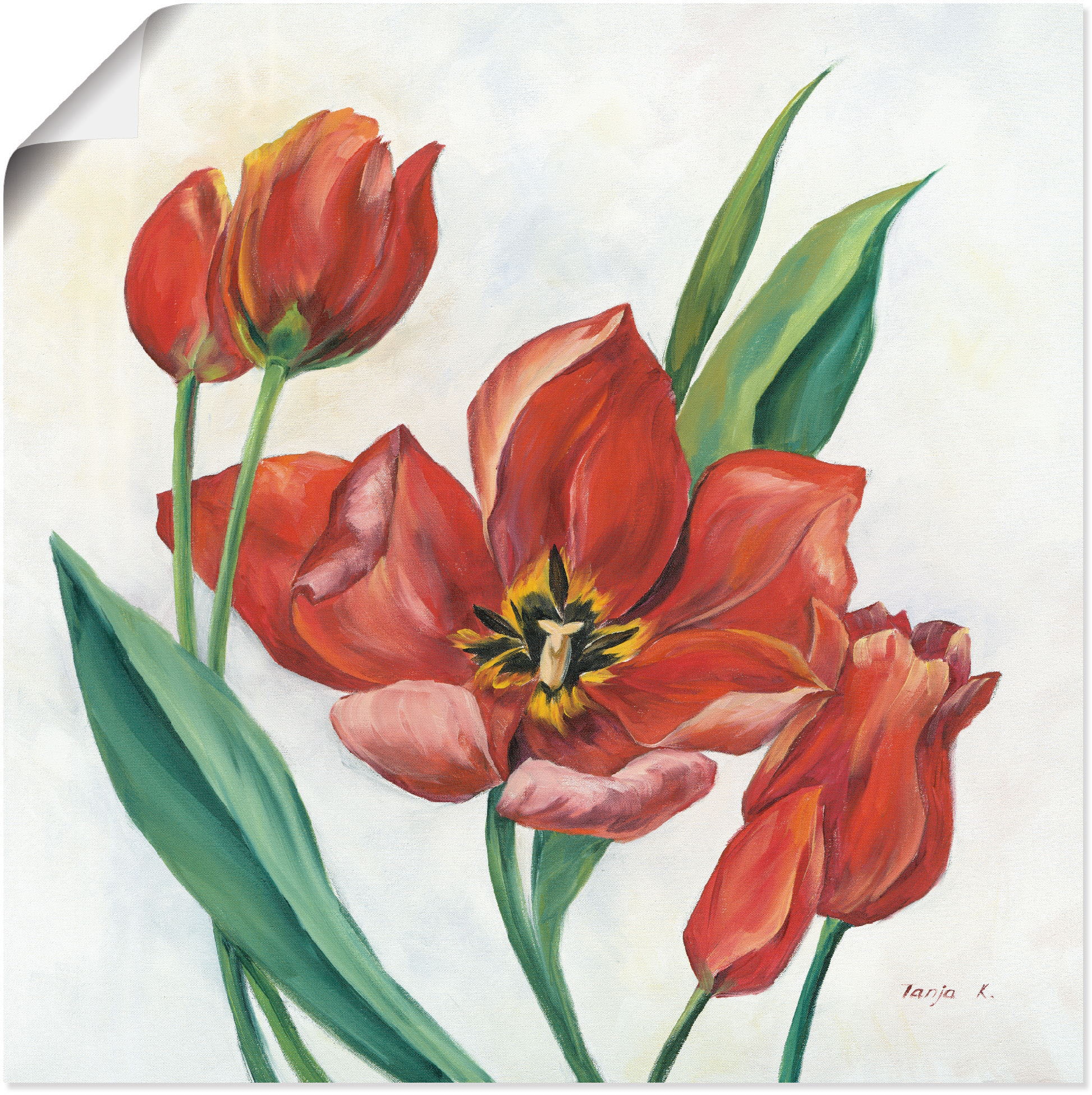 Wandbild »Tulpen I«, Blumenbilder, (1 St.), als Leinwandbild, Poster in verschied. Größen