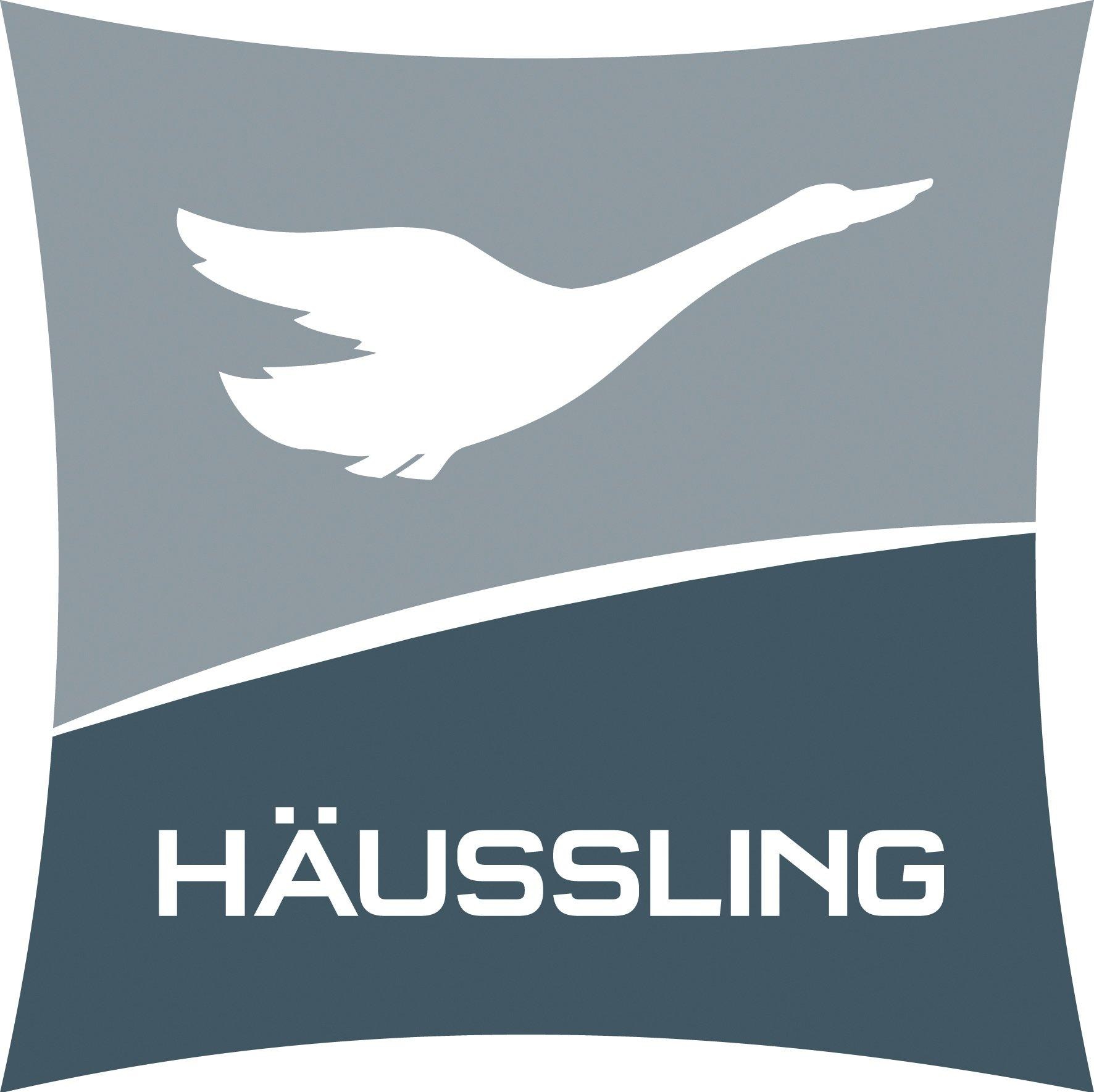 Haeussling Daunenbettdecke »Moschus Royal«, leicht, Füllung 100 % Daunen, Bezug 100 % Baumwolle, (1 St.), Wärmeklasse: leicht