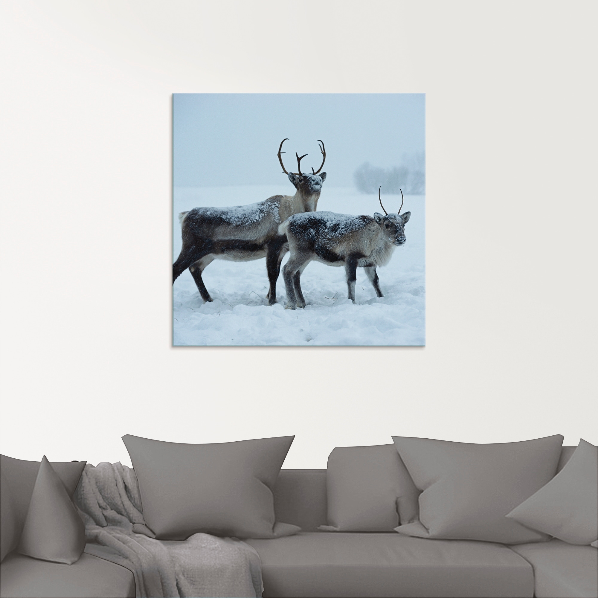 Artland Glasbild »Rentier«, Wildtiere, (1 St.), in verschiedenen Größen
