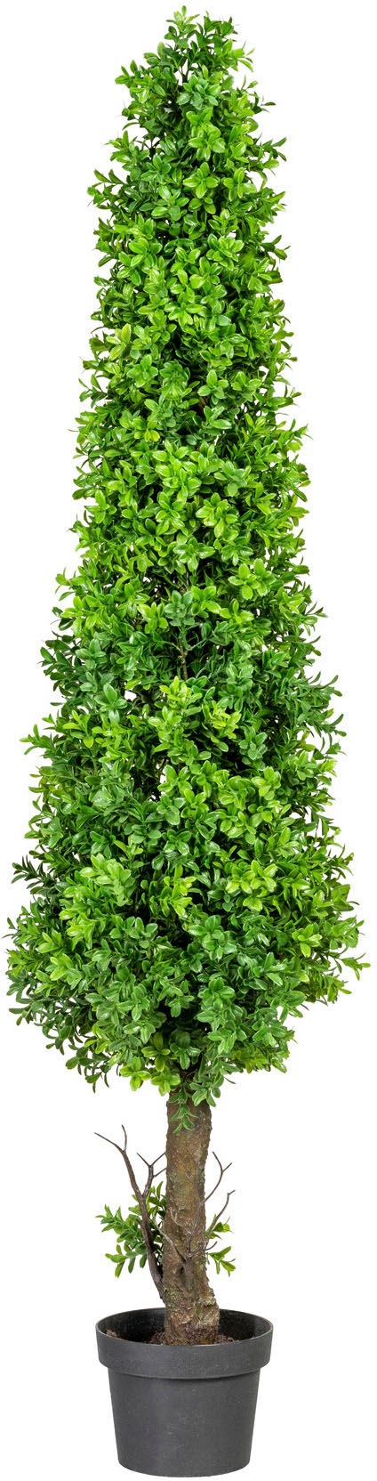 Creativ green Kunstpflanze »Buchsbaumpyramide«, im Kunststofftopf