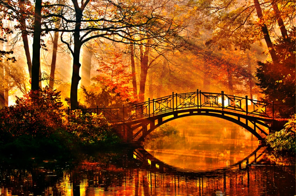 Papermoon Fototapete »Misty Park Bridge«