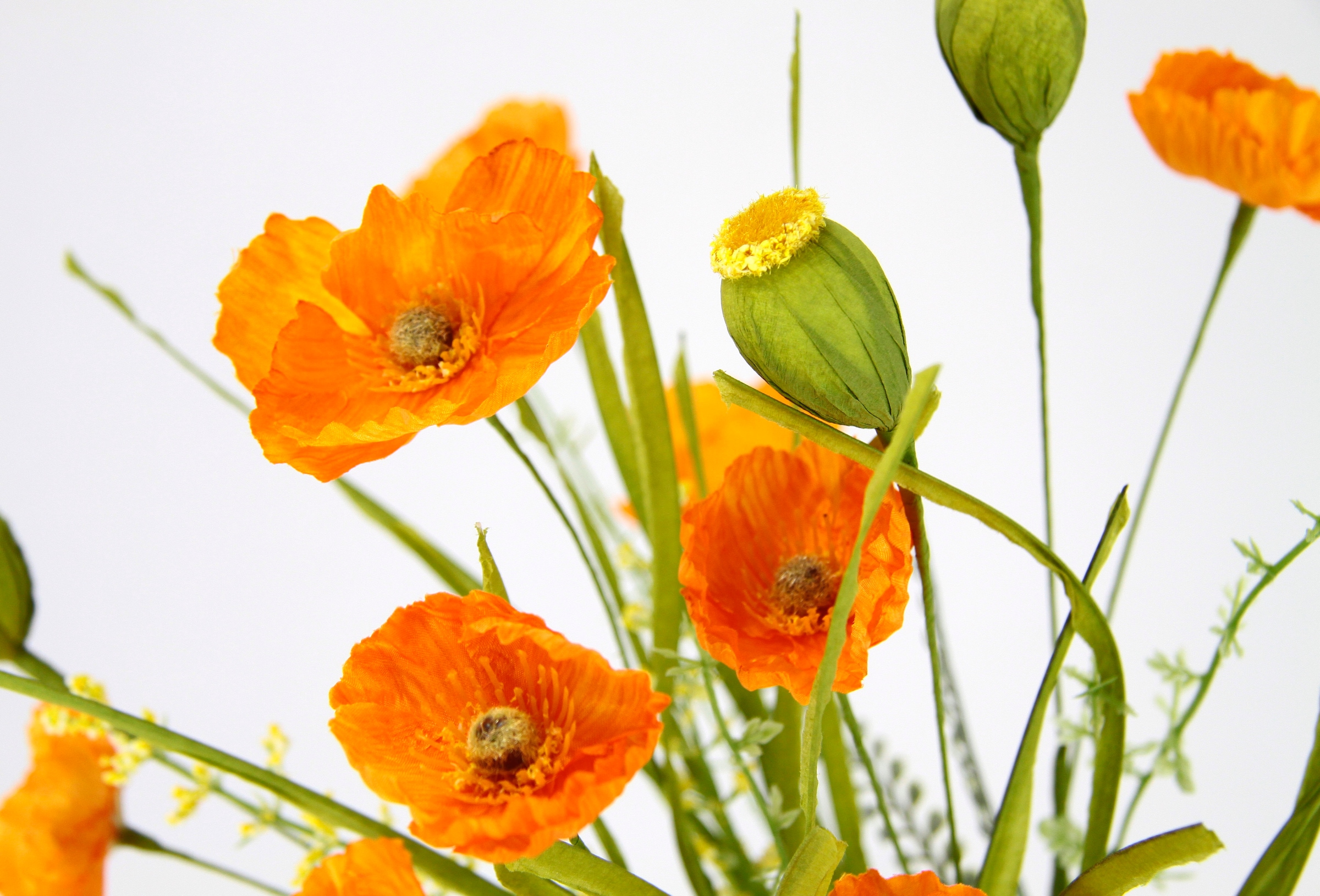 I.GE.A. Kunstblume »Mohnblumenbusch in Vase aus Keramik« Blumen Mohnblume Mohn Mohnbusch Bouquet Strauß Seidenblumenstrauß