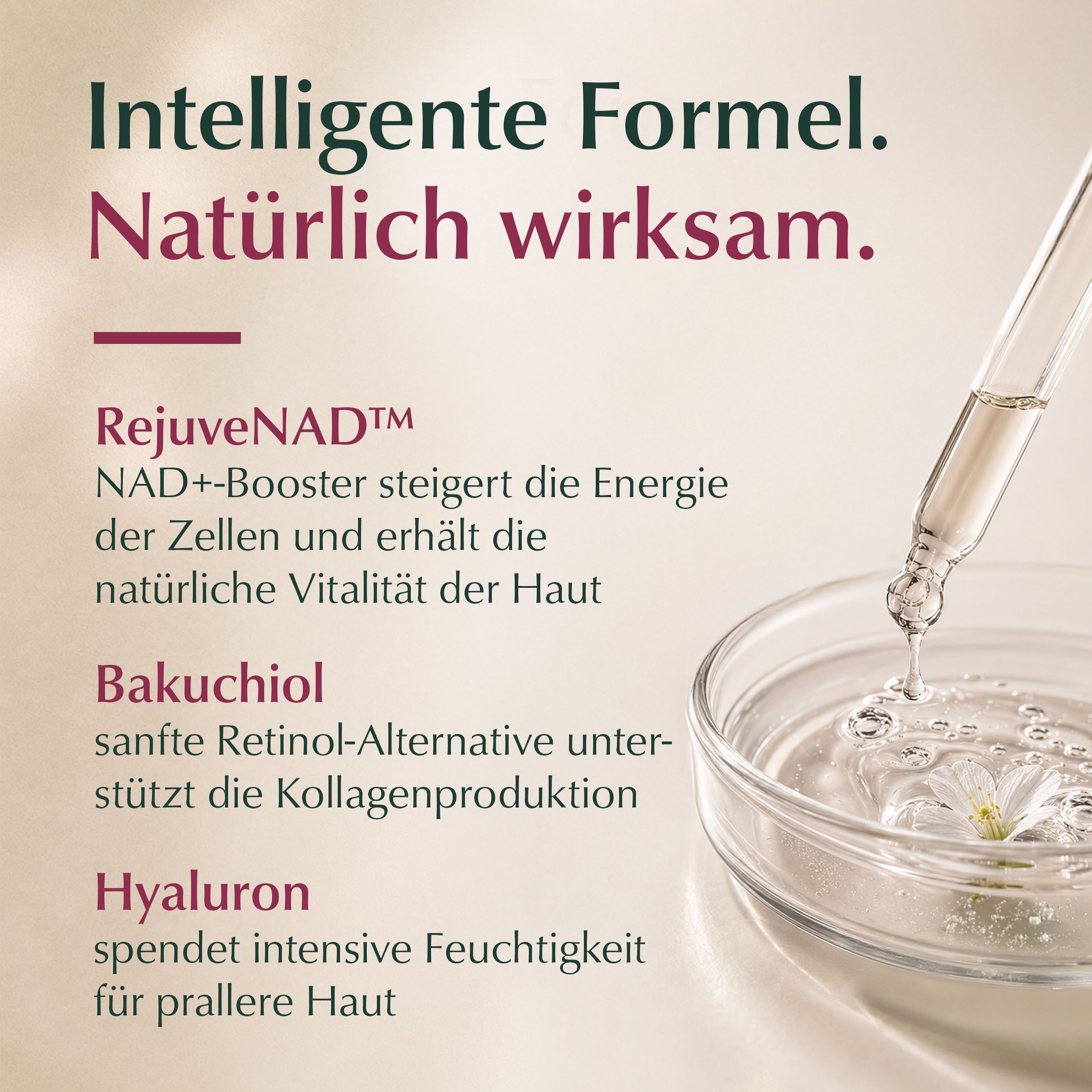 LOGONA Gesichtsserum »CELL RECHARGE SERUM« für alle Hauttypen, mit antibakterieller Wirkung, Gel-Creme-Textur