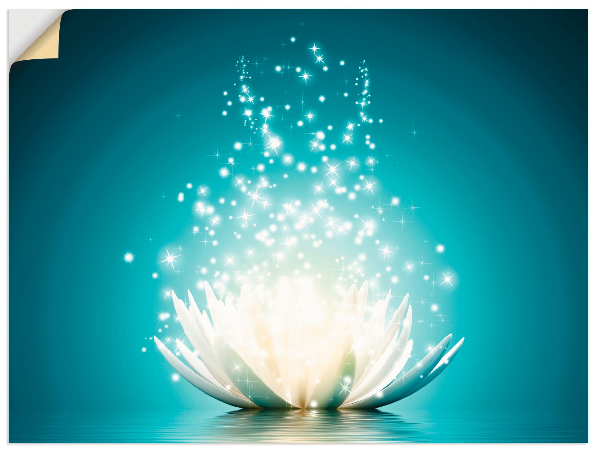 Artland Wandbild »Magie der Lotus-Blume«, Blumen, (1 St.), als Alubild, Outdoorbild, Leinwandbild, Poster, Wandaufkleber