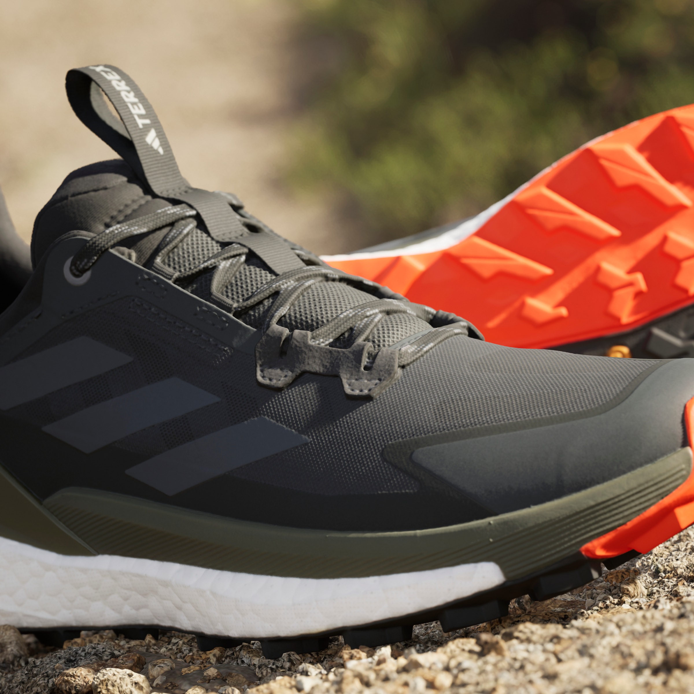 adidas TERREX Wanderschuh »TERREX FREE HIKER 2.0 LOW«