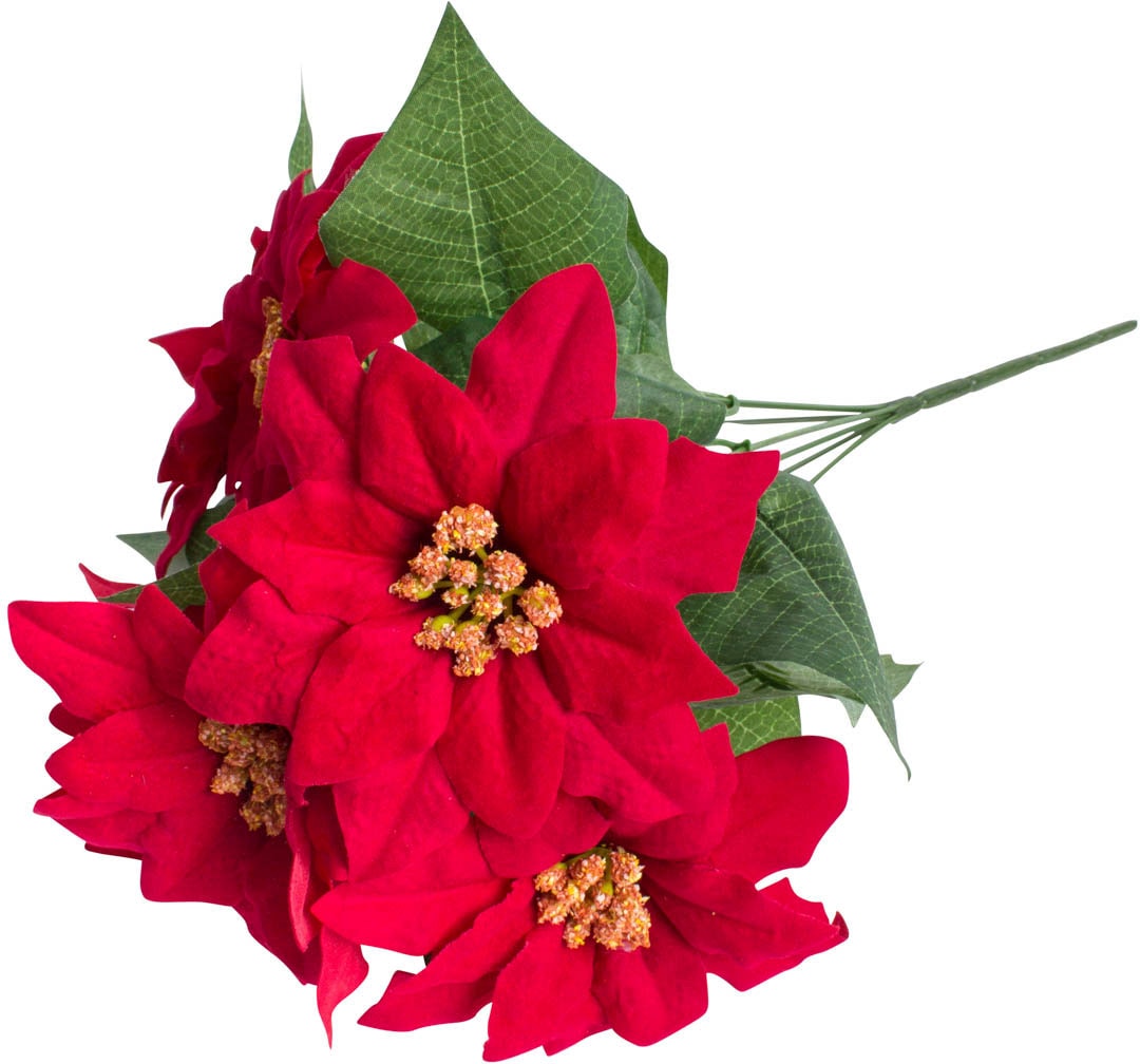 Botanic-Haus Kunstblume »Weihnachtsstern mit 6 Blüten«, (1 St.) online bei  OTTO