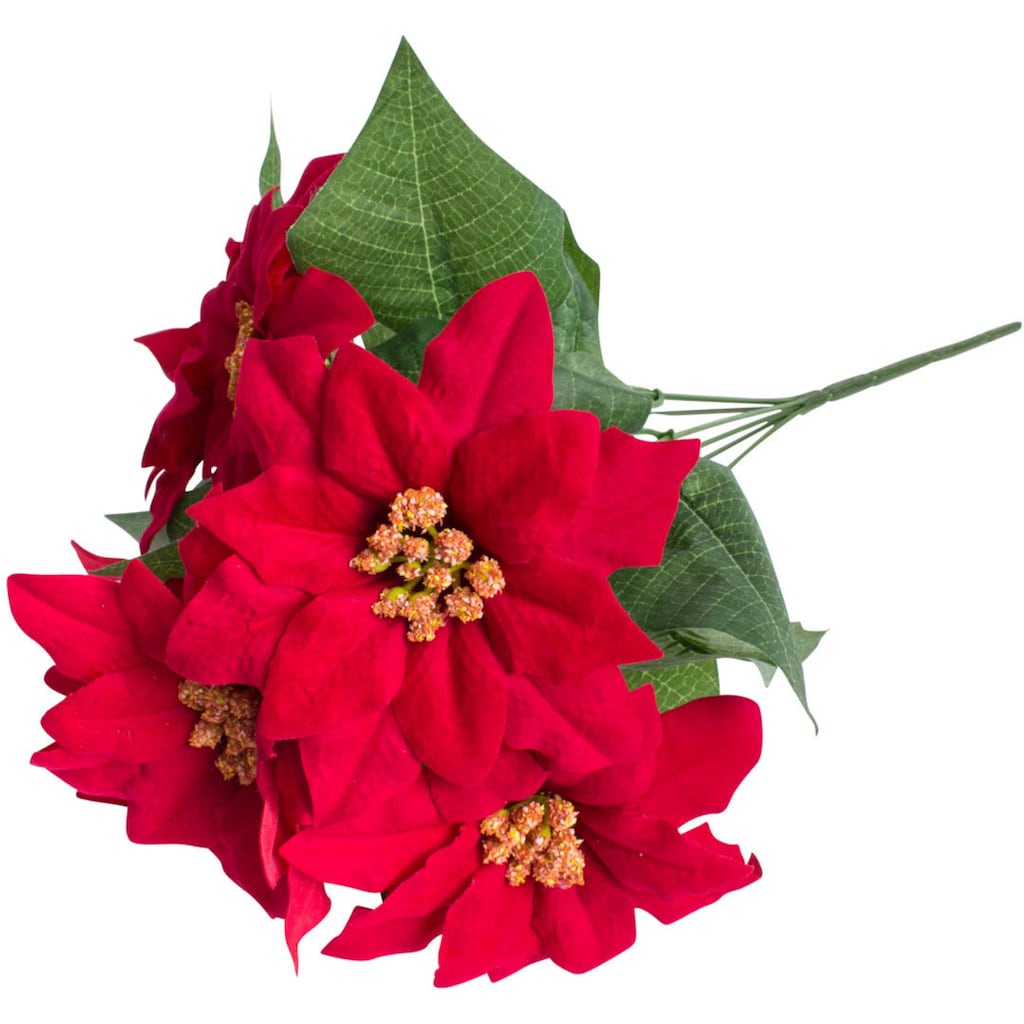 Botanic-Haus Kunstblume »Weihnachtsstern mit 6 Blüten«