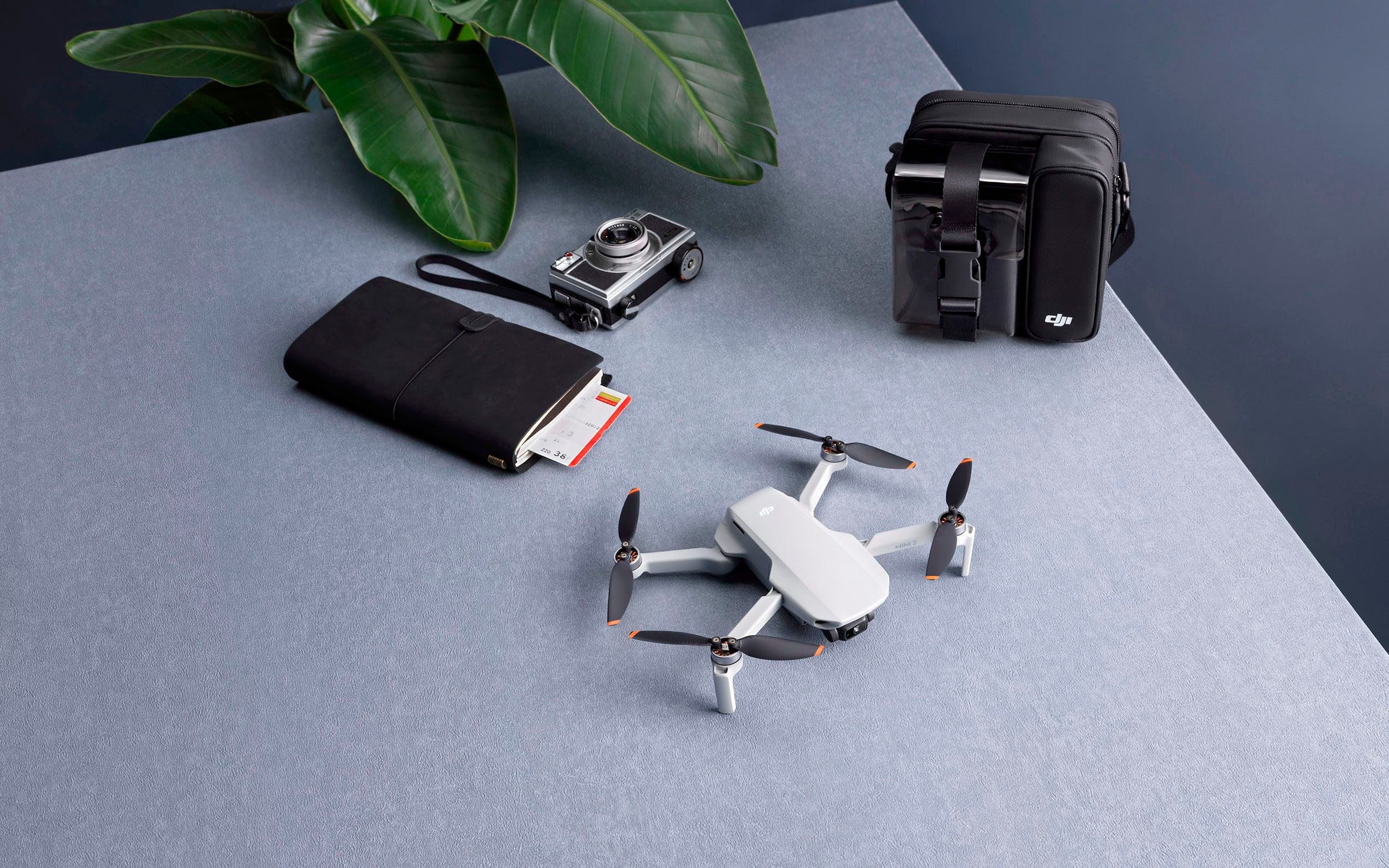 DJI Drohne »Mini 2 SE«