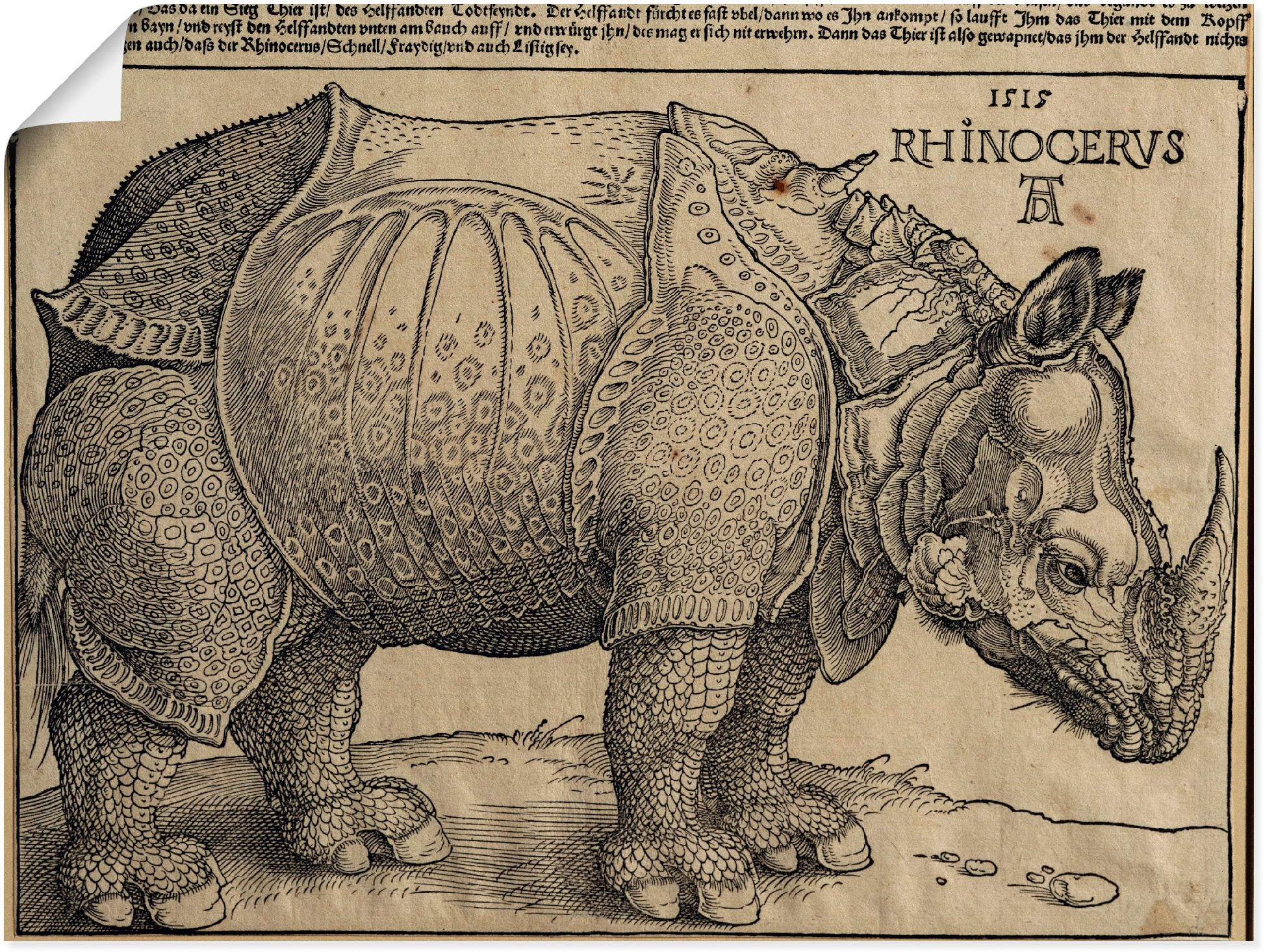 Kunstdruck »Nashorn. 1515. Für König Emanuel.«, Wildtiere, (1 St.), als Leinwandbild,...