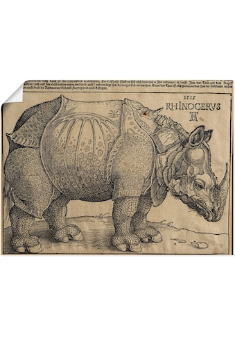 Artland Wandbild »Nashorn. 1515. Für König Emanuel.«, Wildtiere, (1 St.), in vielen... kaufen