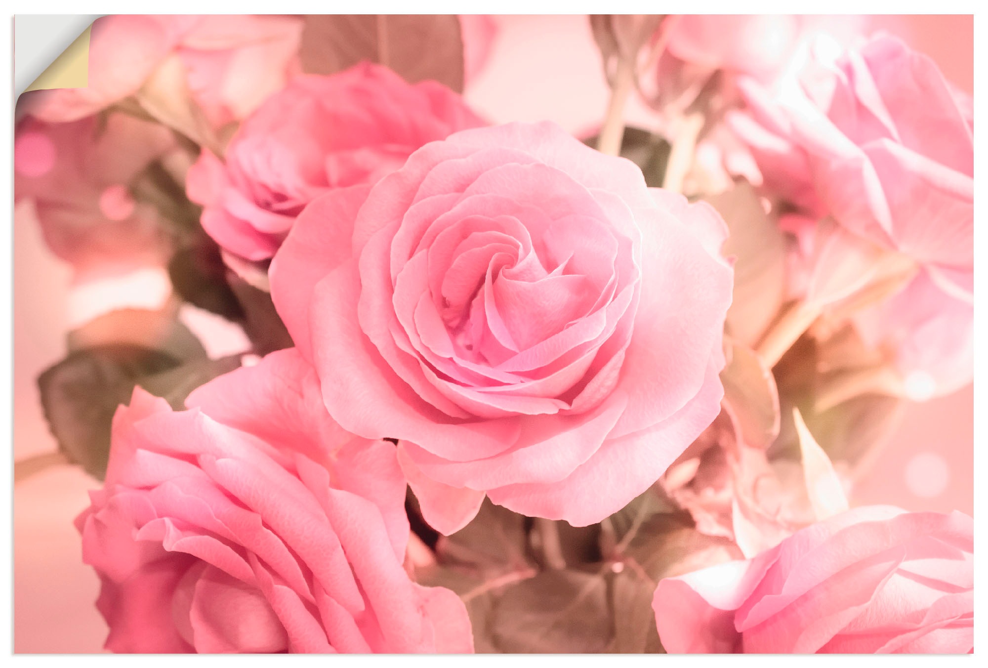 Artland Wandbild »Rosarosenbouquet«, Blumen, (1 St.), in vielen Größen & Produktarten - Alubild / Outdoorbild für den Außenbereich, Leinwandbild, Poster, Wandaufkleber / Wandtattoo auch für Badezimmer geeignet