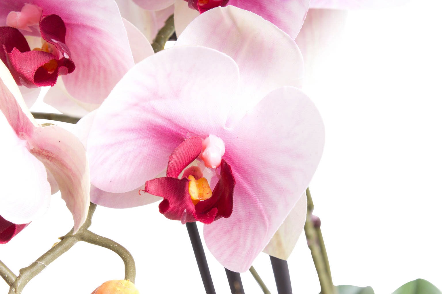 Botanic-Haus Kunstorchidee »Orchidee OTTO (1 St.) bei Bora«