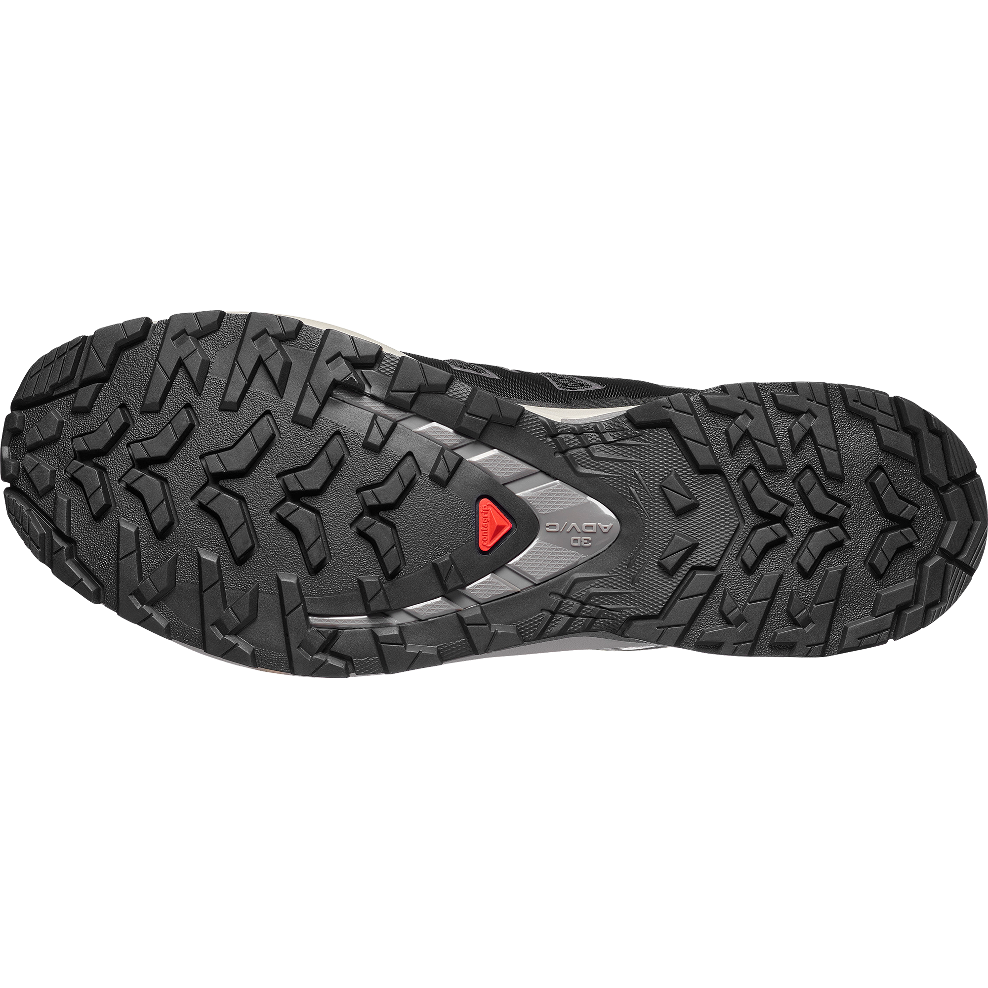 Salomon Trailrunningschuh »XA PRO 3D V9«