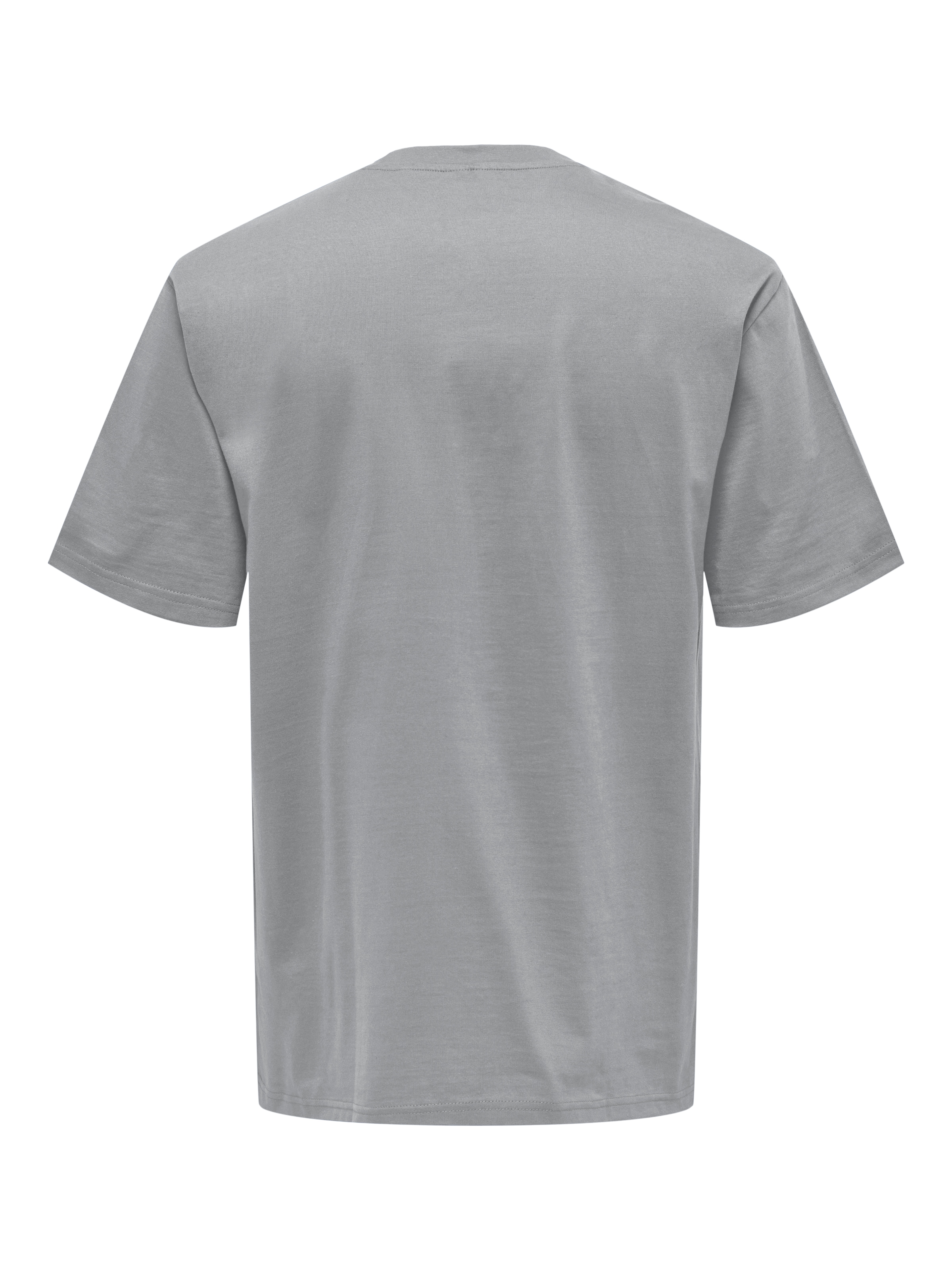 ONLY & SONS Rundhalsshirt »ONSFRED RLX SS TEE«