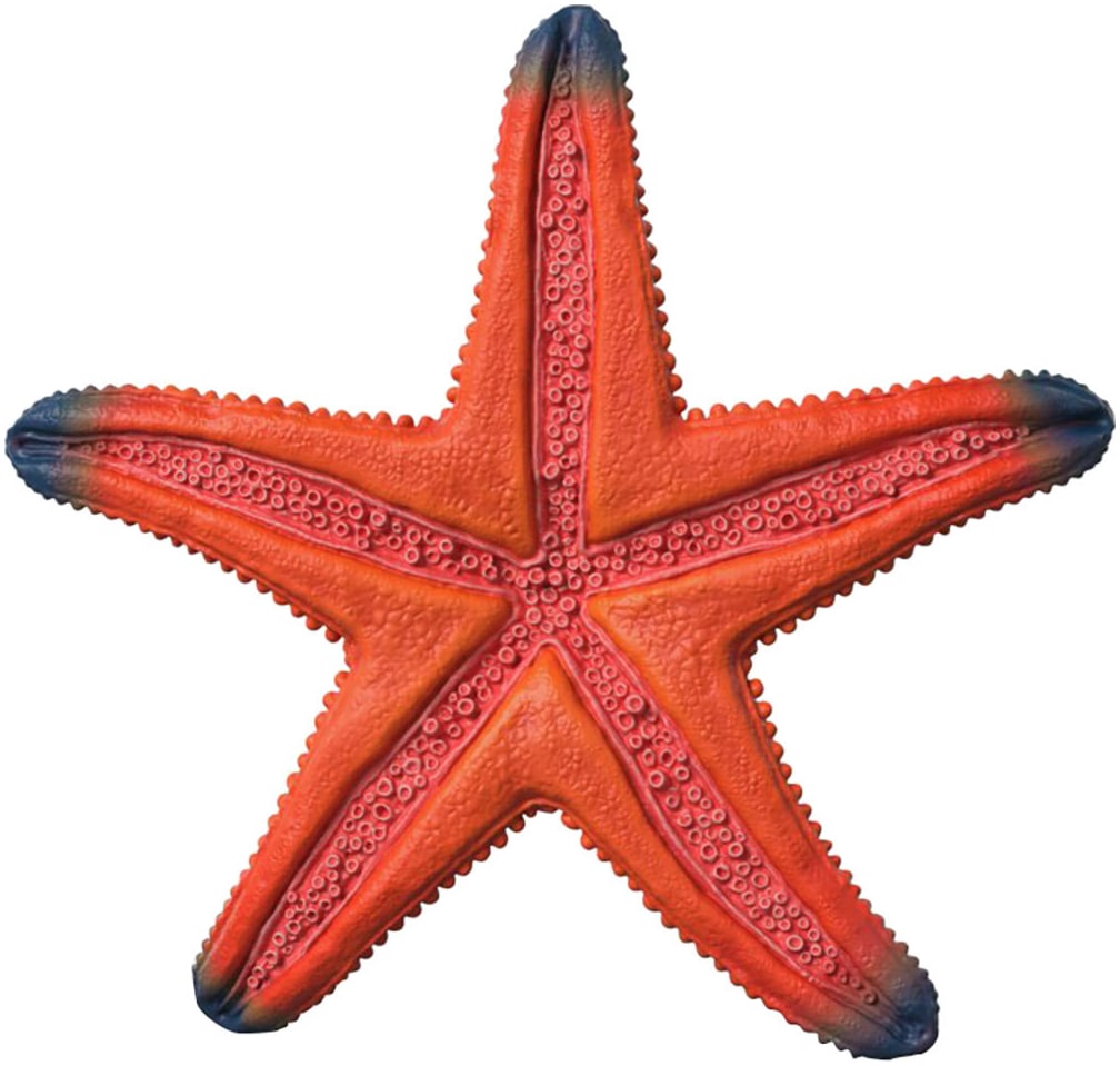Schleich® Spielfigur »WILD LIFE, Seestern (14902)« mit Farbwechsel