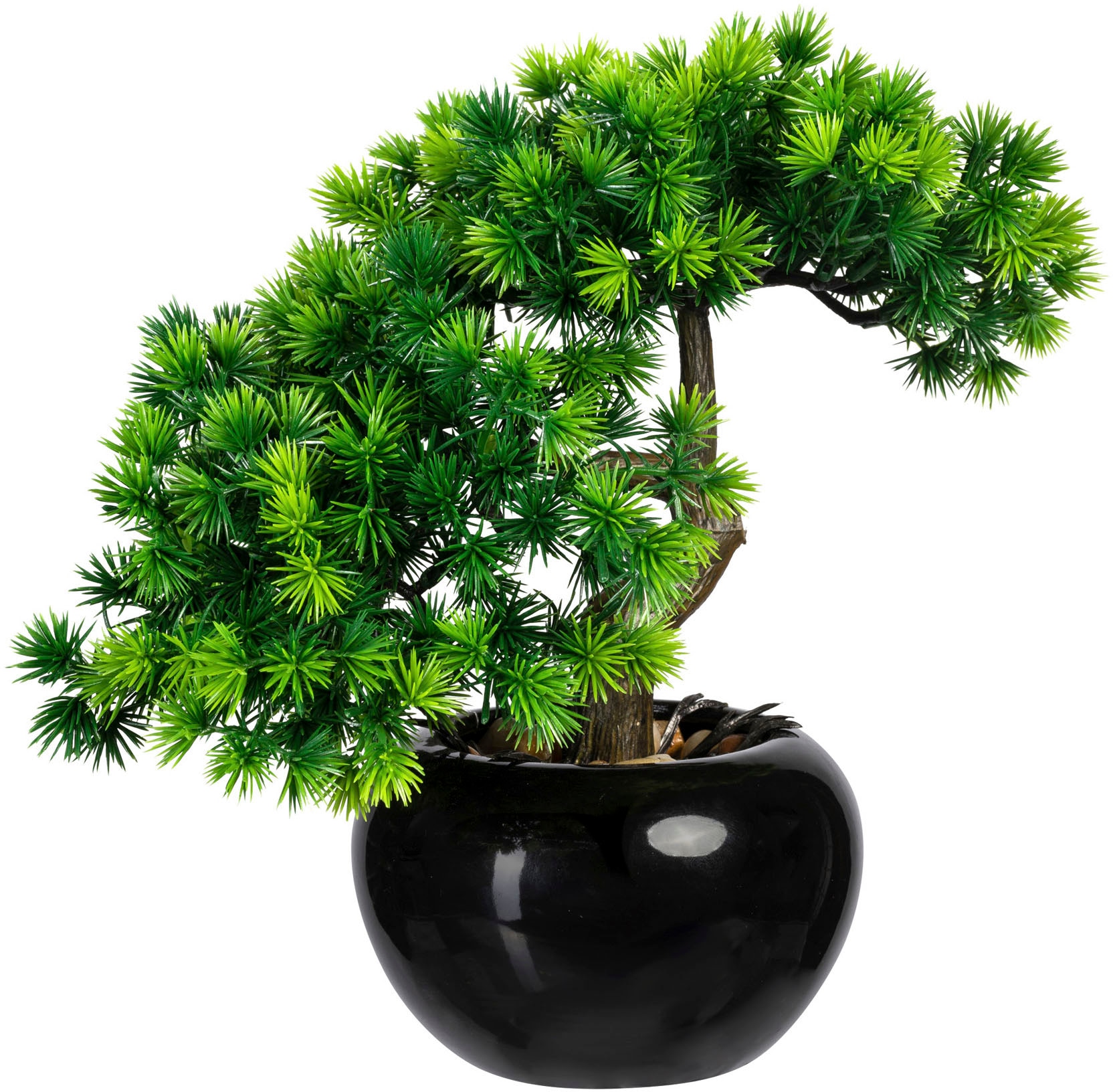 Creativ green Kunstbonsai »Bonsai Lärche«, im Keramiktopf, 2er Set