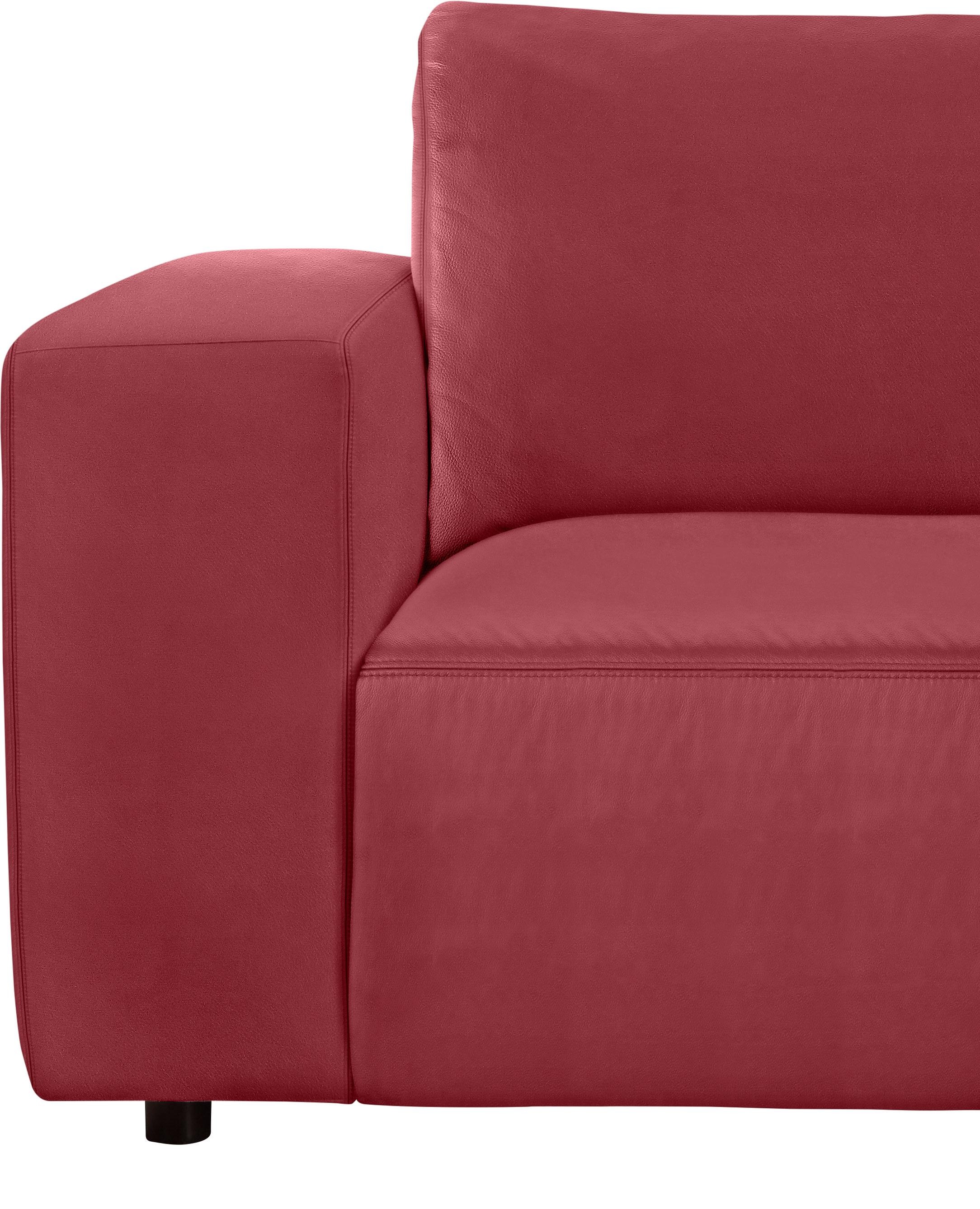 Musterring Ecksofa »LUCIA L-Form«, in vielen Qualitäten und 4 verschieden Nähten