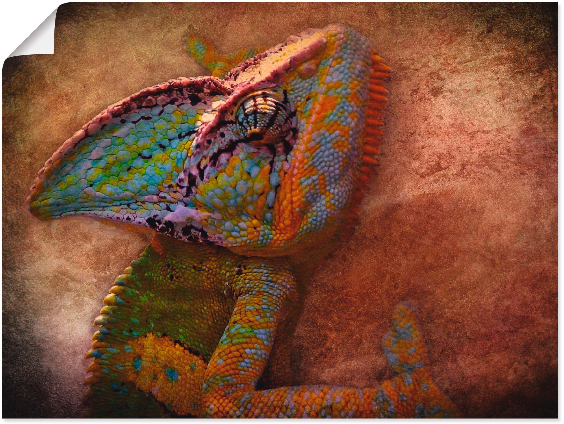 Wandaufkleber bei Reptilien, als versch. Artland Wandbild St.), Poster Leinwandbild, OTTO in (1 Größen oder »Chamäleon«,