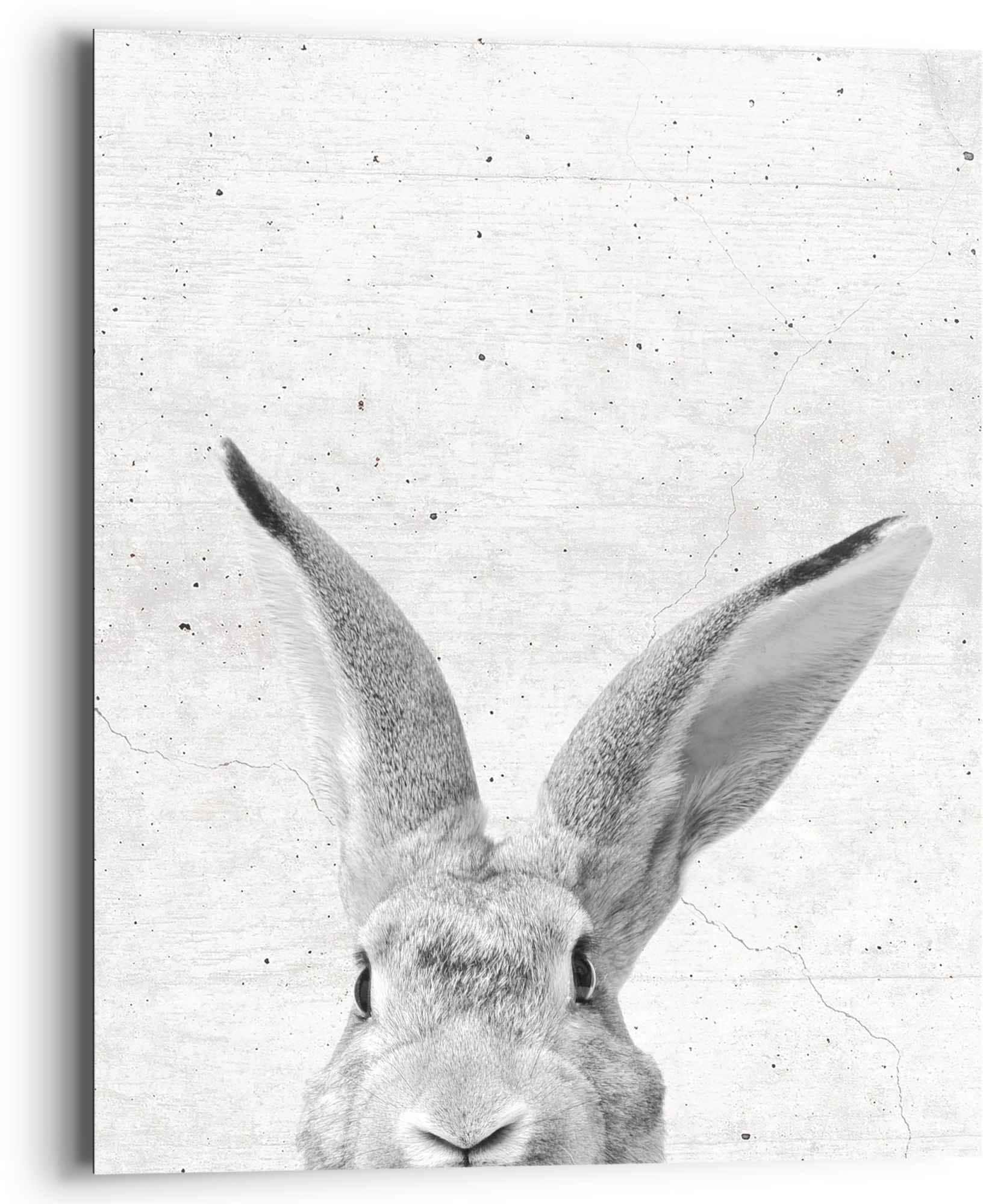 Reinders! Wandbild »Wandbild - - Hase OTTO Tiermotiv bei beobachtet Niedlich«, dich Kaninchen (1 St.) Hasen