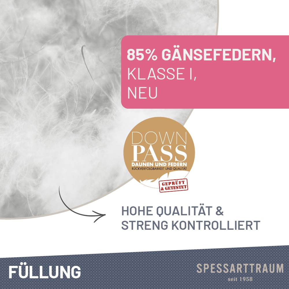 SPESSARTTRAUM Gänsefederkopfkissen »Premium«, Füllung: 85% Gänsefedern / 15% Gänsedaunen, Klasse 1, Downpass zertifiziert, Bezug: 100% Baumwolle, nachhaltig (Made in Green), Hausstauballergiker geeignet, (1 St.), gute Stützkraft