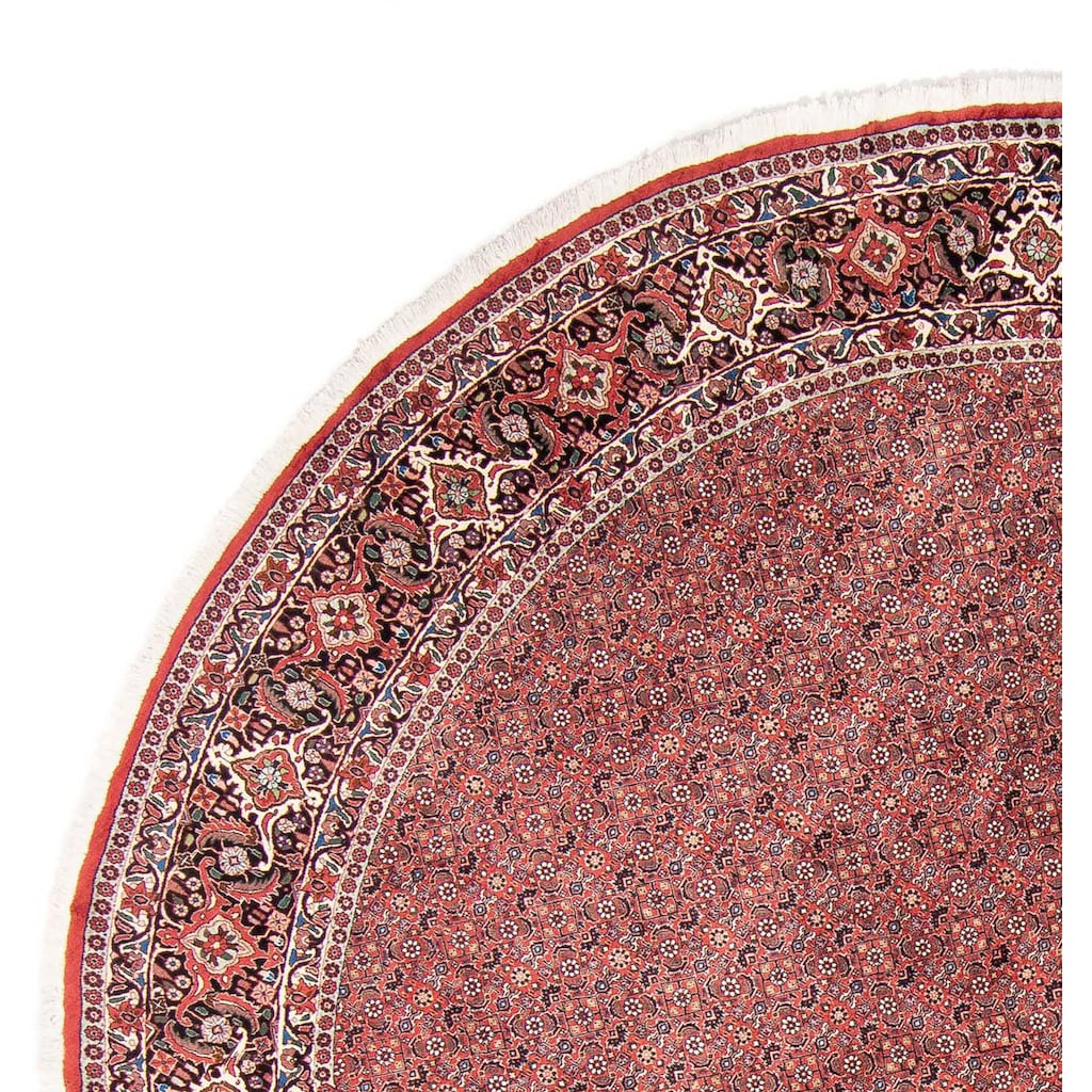 morgenland Orientteppich »Perser - Bidjar rund - 300 x 300 cm - rot«, rund
