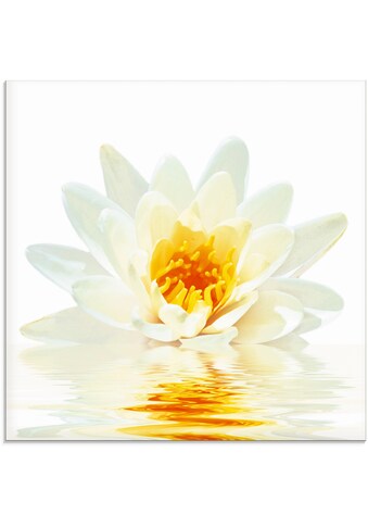 Artland Glasbild »Lotusblume schwimmt im Wasser«, Blumen, (1 St.) kaufen
