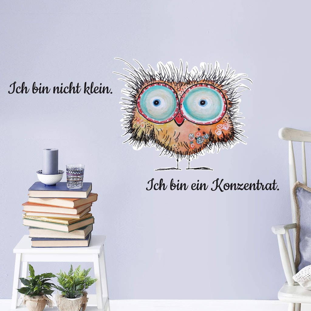 Wall-Art Wandtattoo »motivierender Spruch lustige Eule«